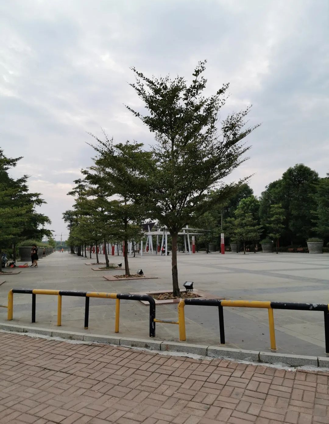 凤凰湖公园旅行图片 3