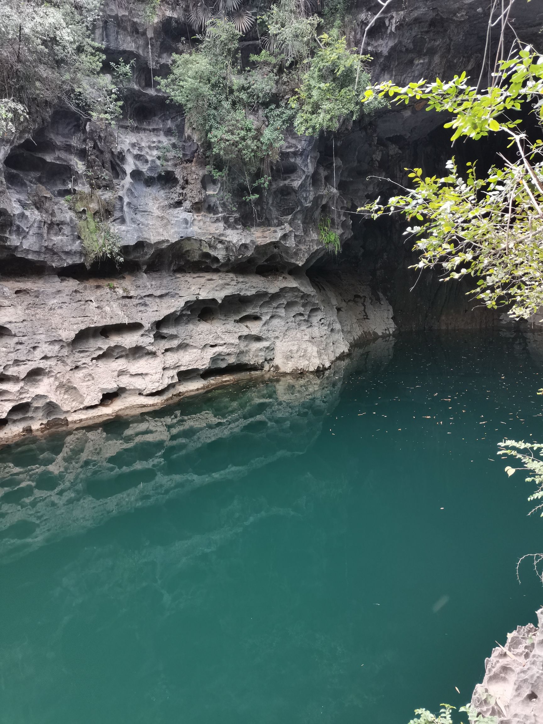 桃花水母第二天窗旅行图片 1