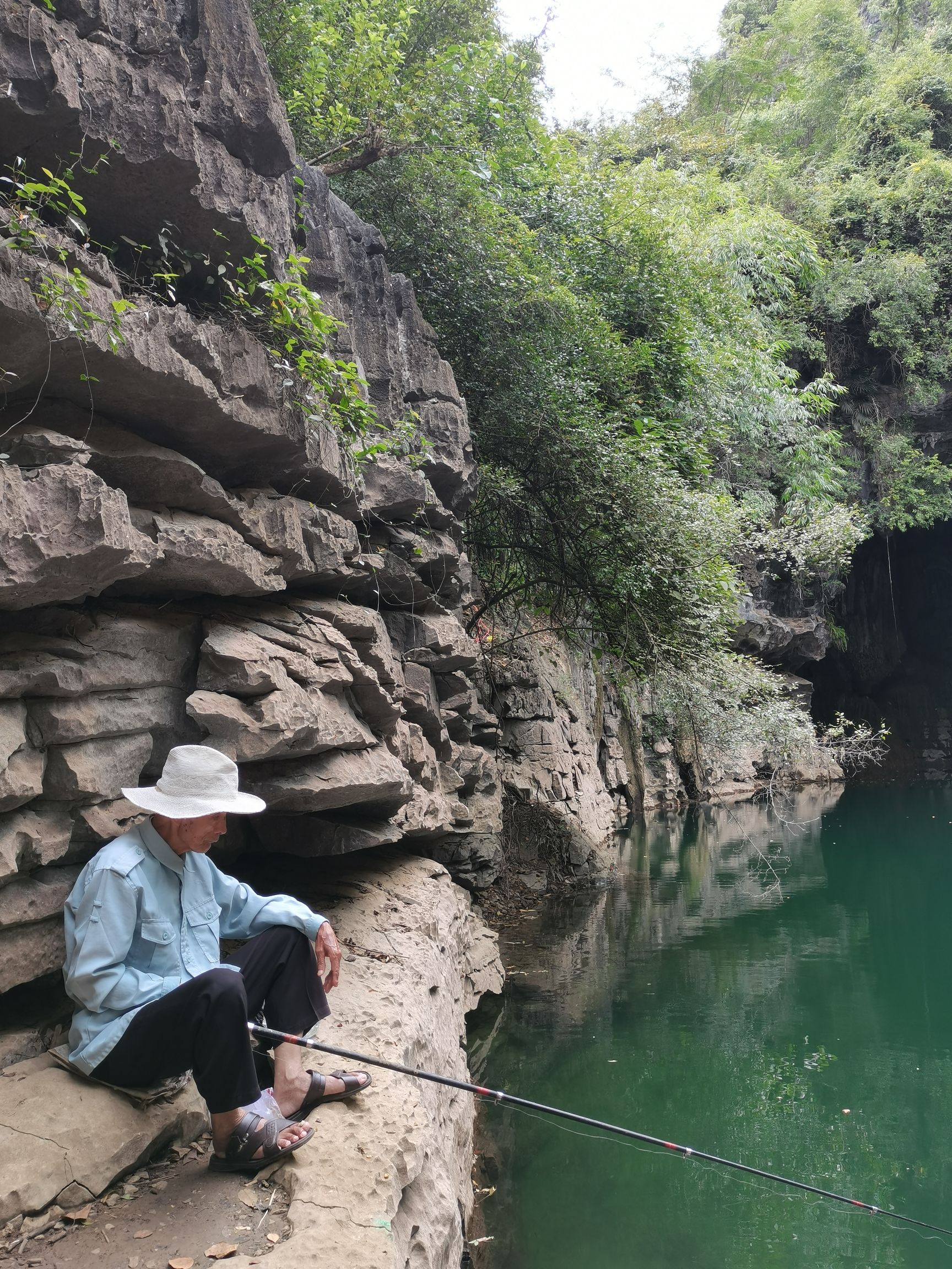 桃花水母第二天窗旅行图片 3