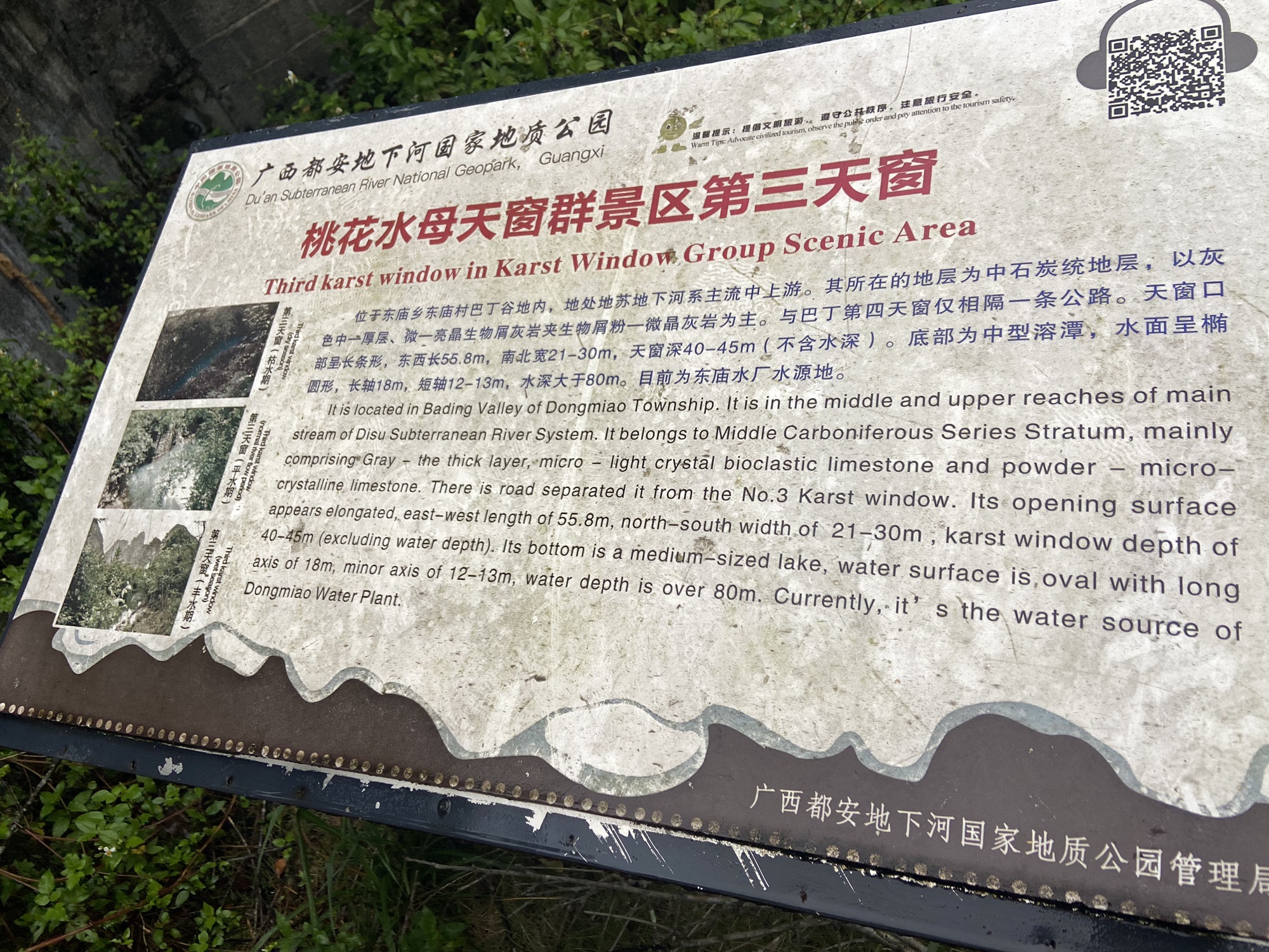桃花水母第四天窗旅行图片 1