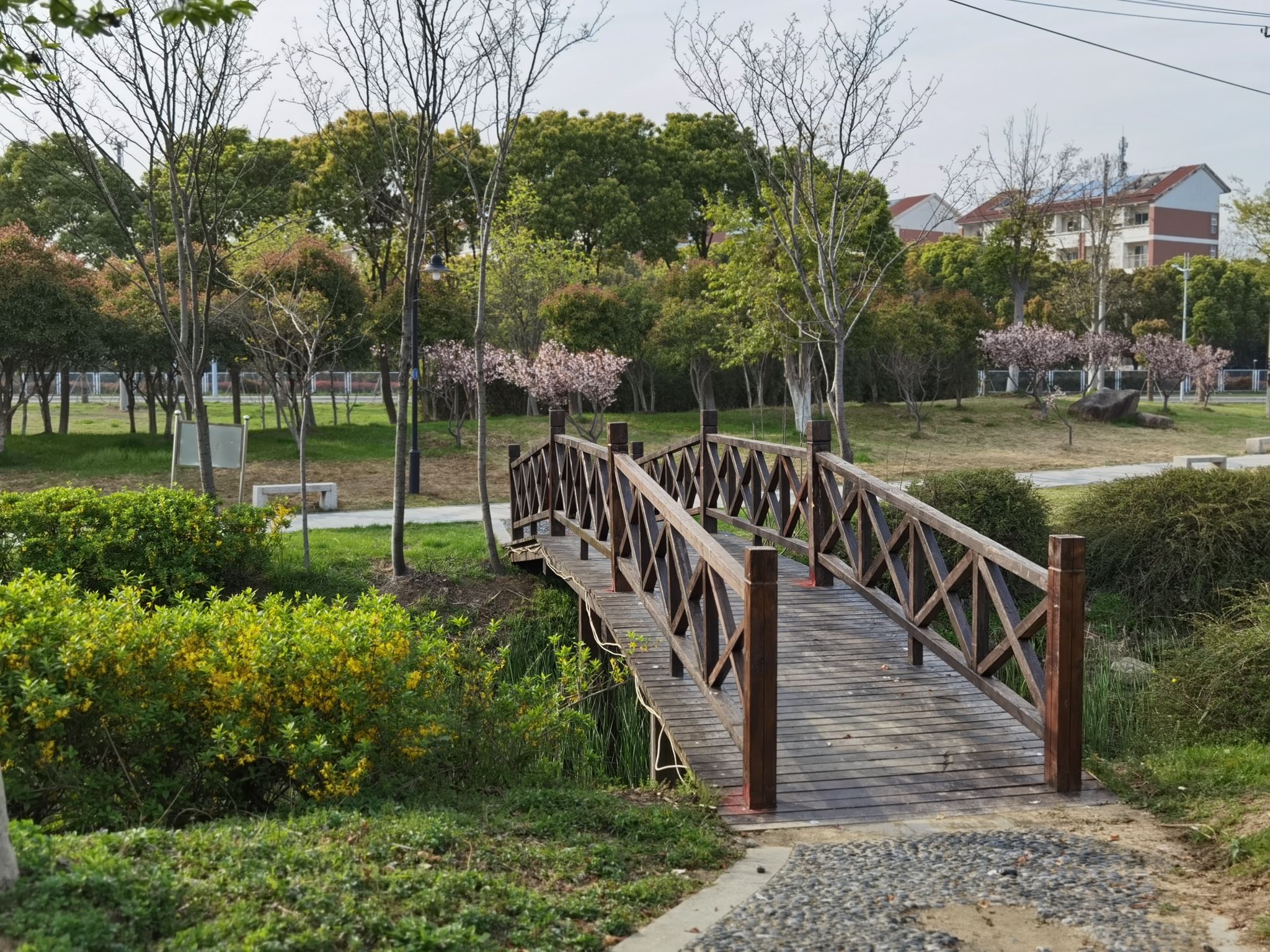 玉兰公园旅行图片 2