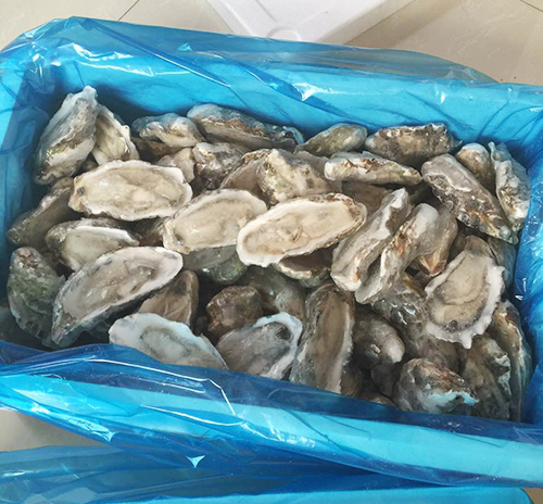 张二水产(建阳商城店)