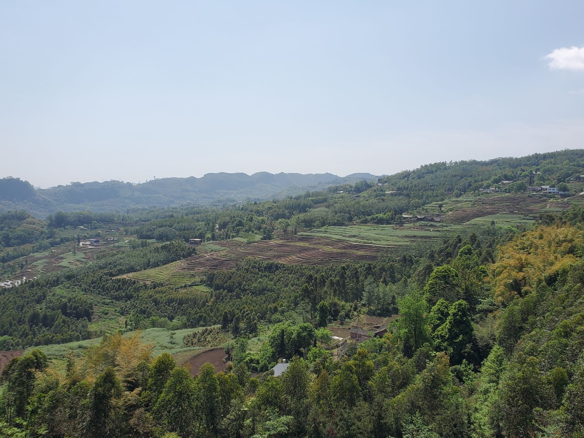 四峨山梯田旅行图片 1