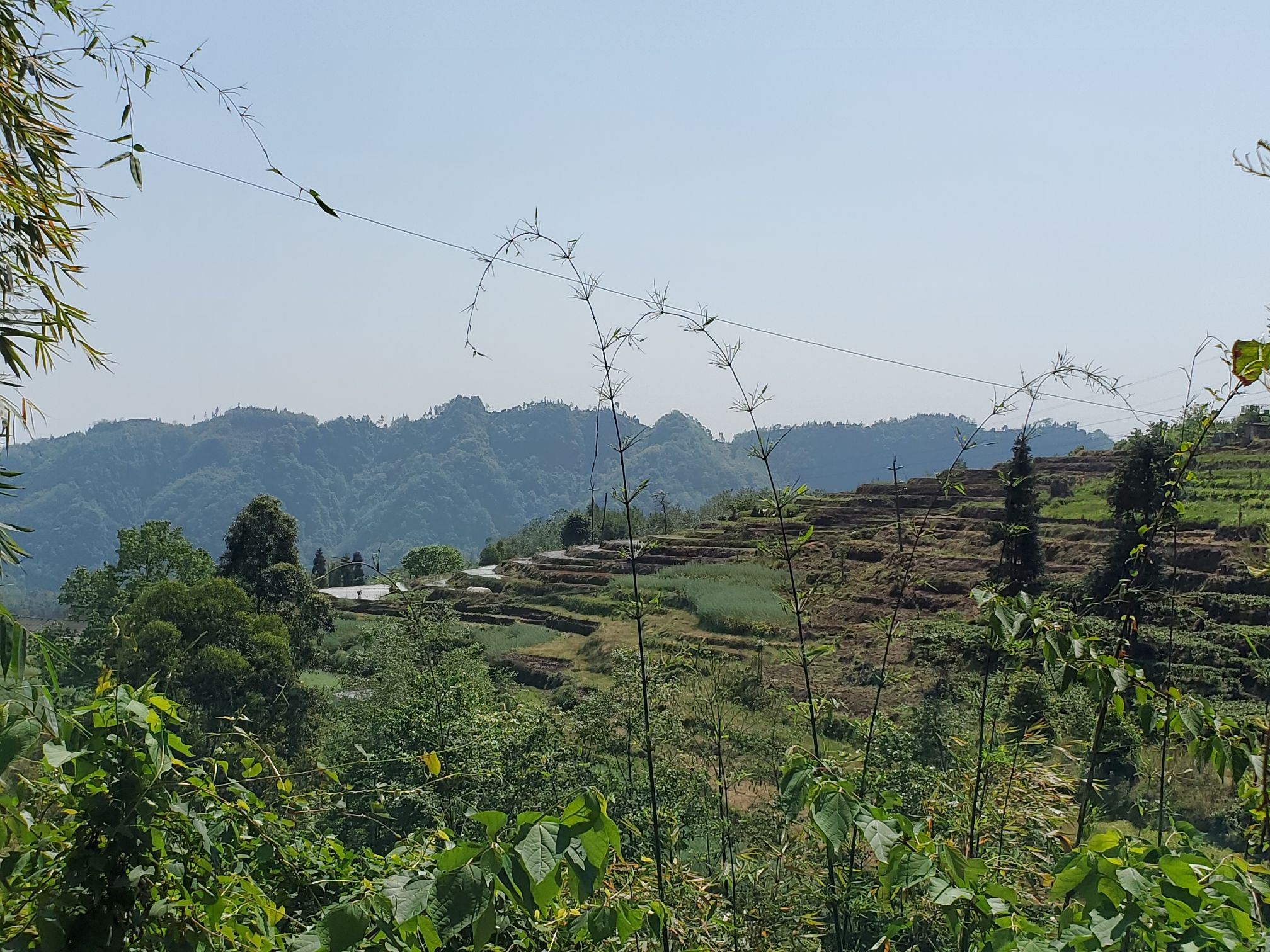四峨山梯田旅行图片 2