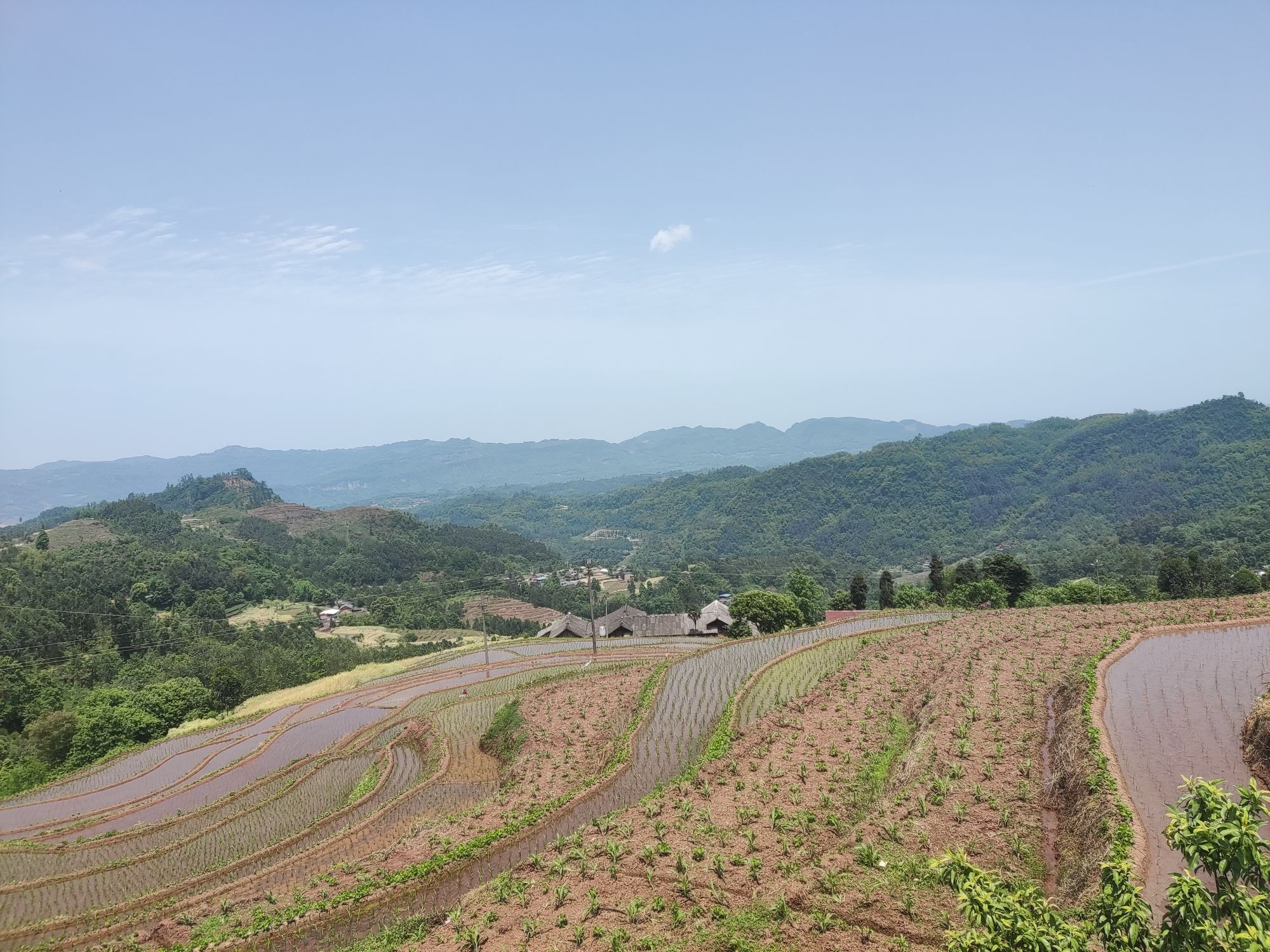 四峨山梯田旅行图片 1
