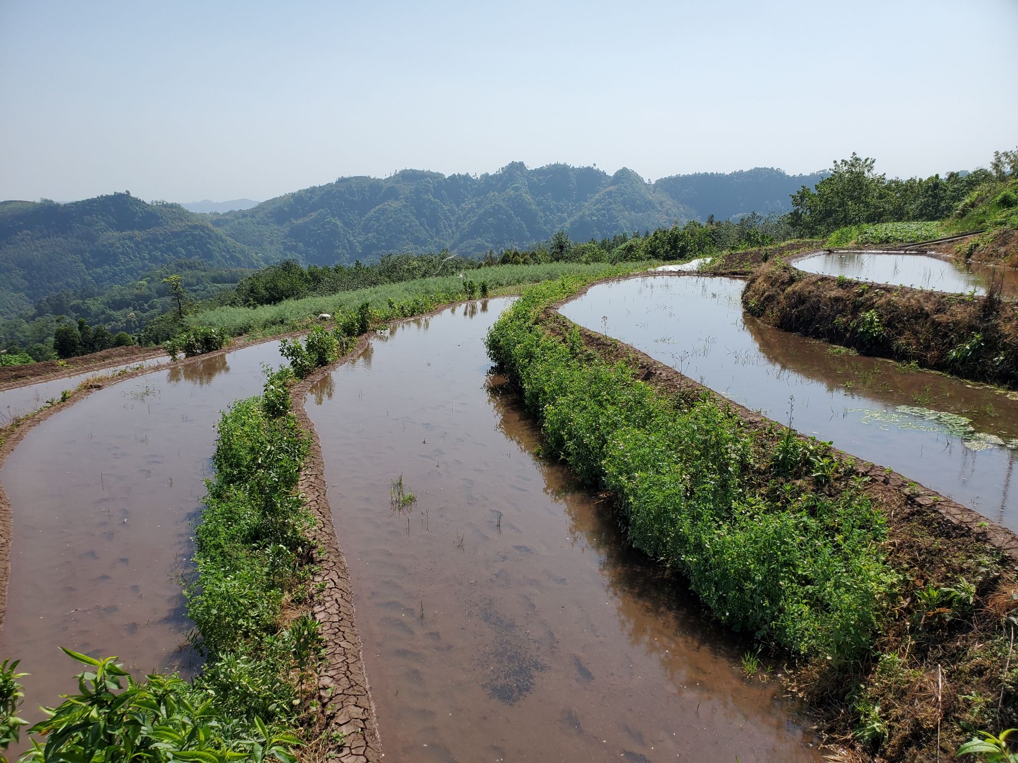 四峨山梯田旅行图片 3