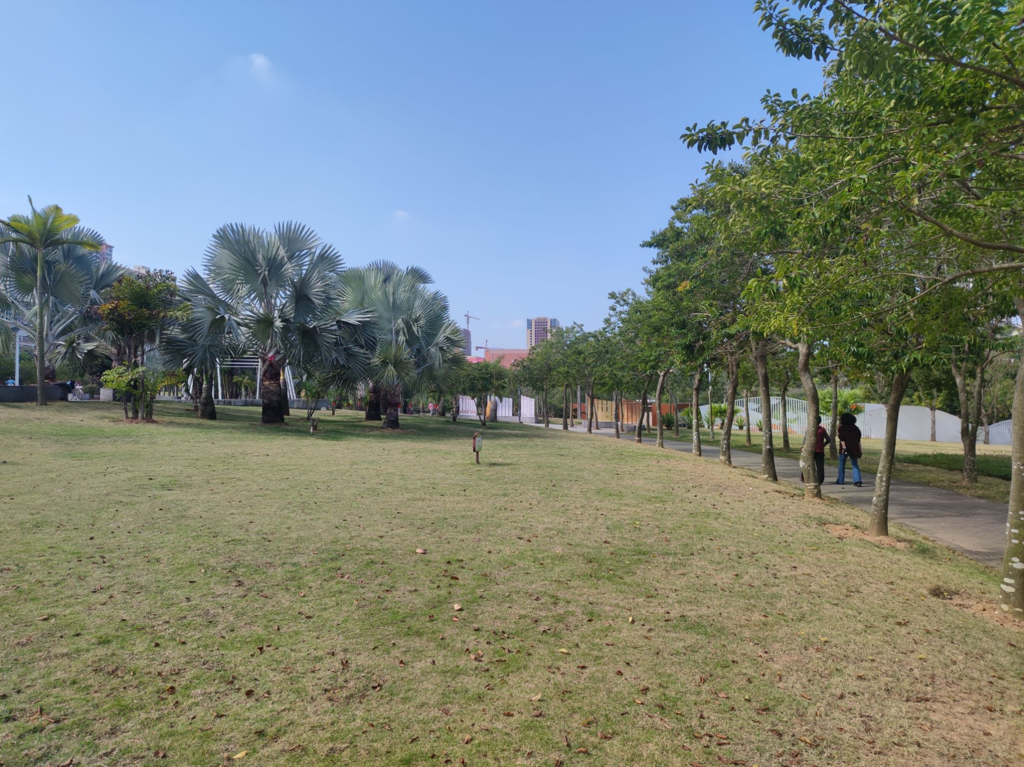 银帆公园旅行图片 1