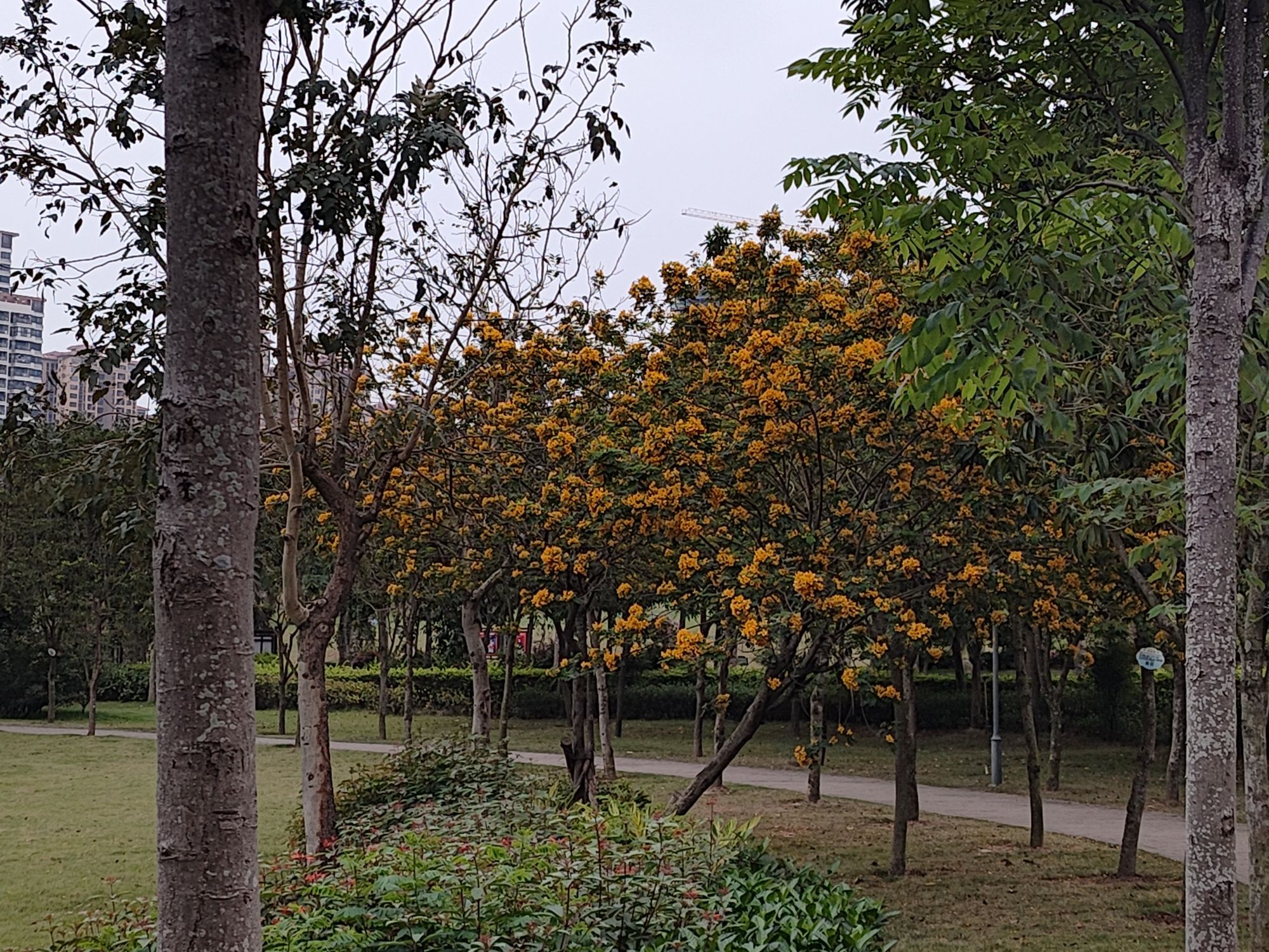 银帆公园旅行图片 3