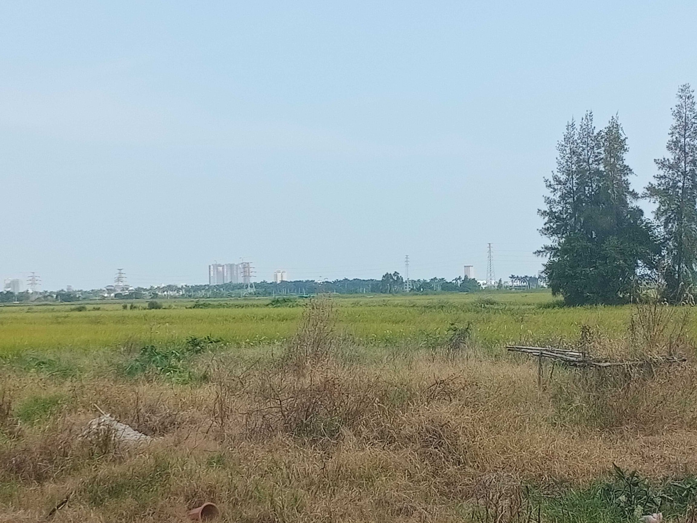 银帆公园旅行图片 3