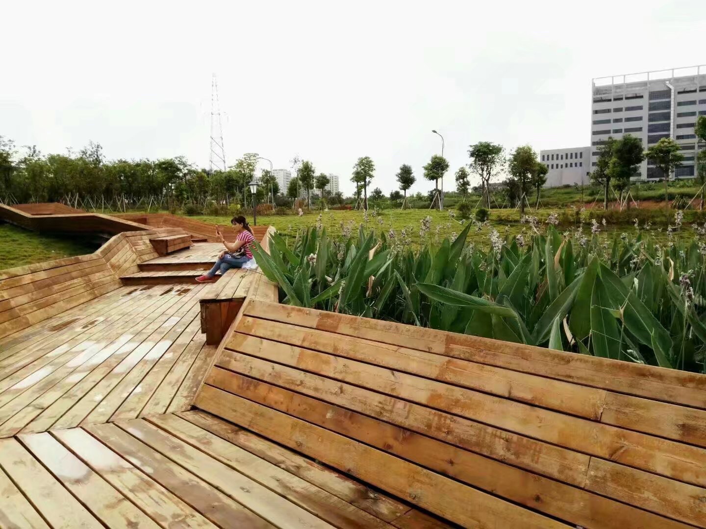 银帆公园旅行图片 3
