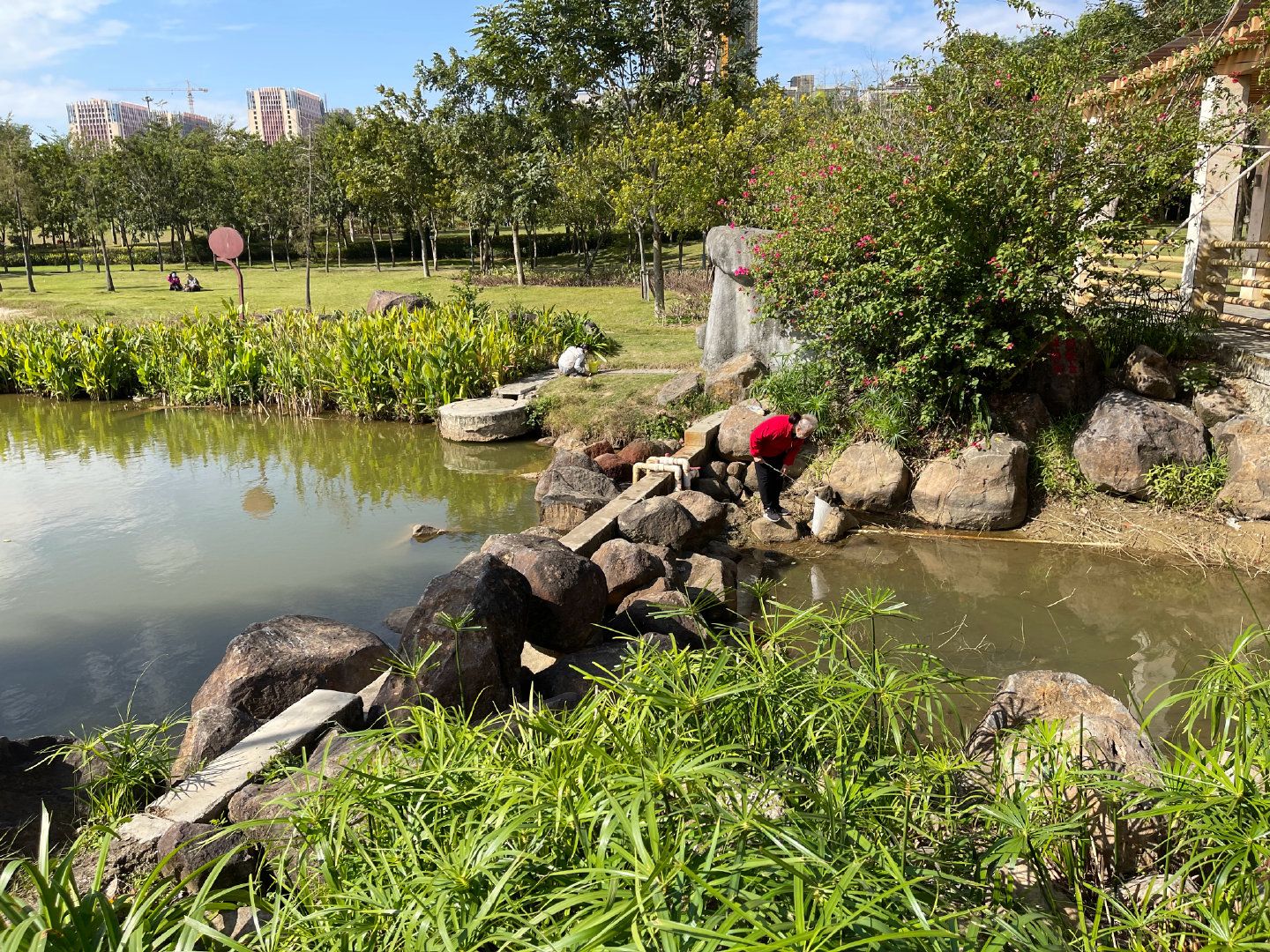 银帆公园旅行图片 3