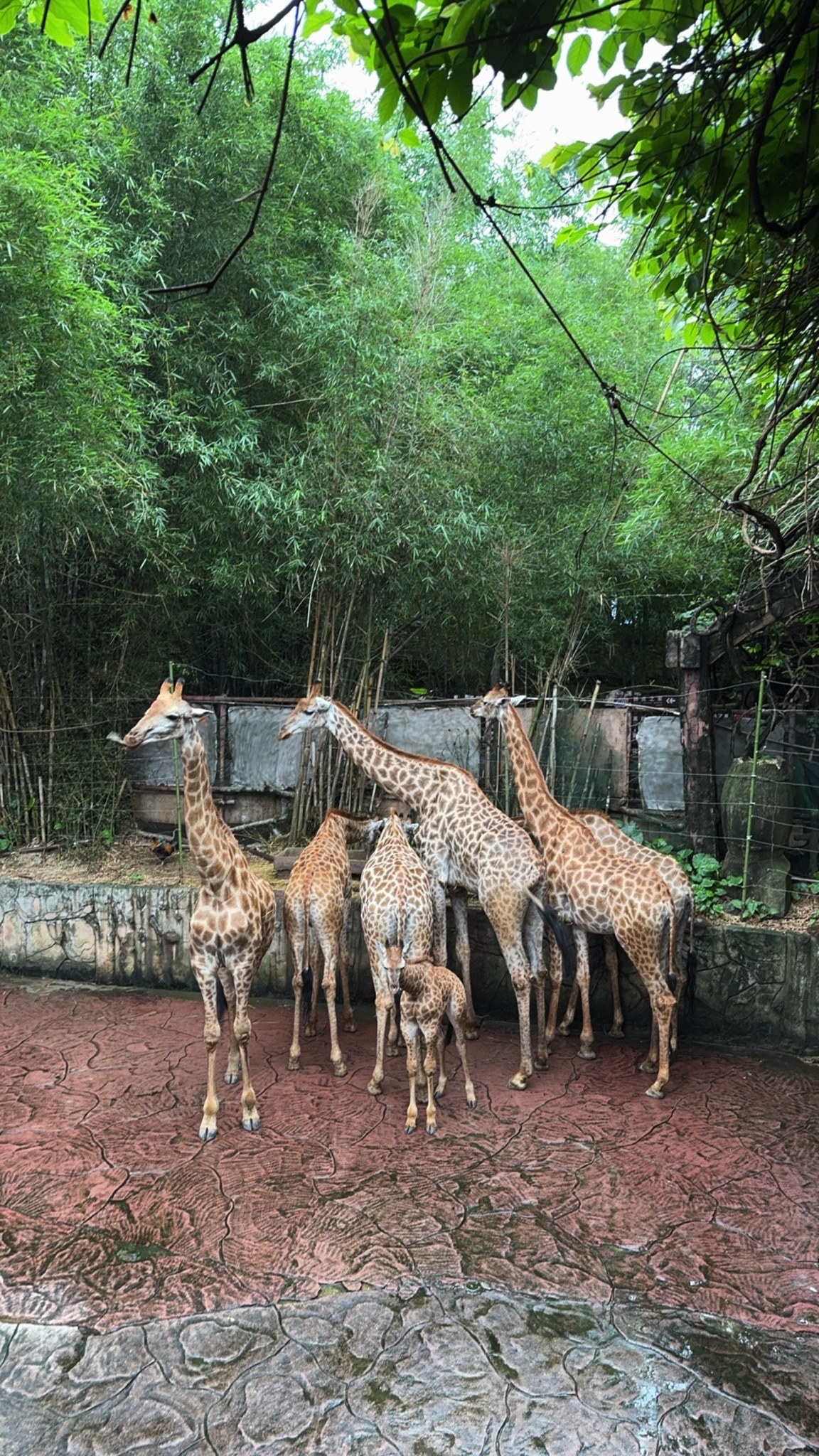 长鹿旅游度假区