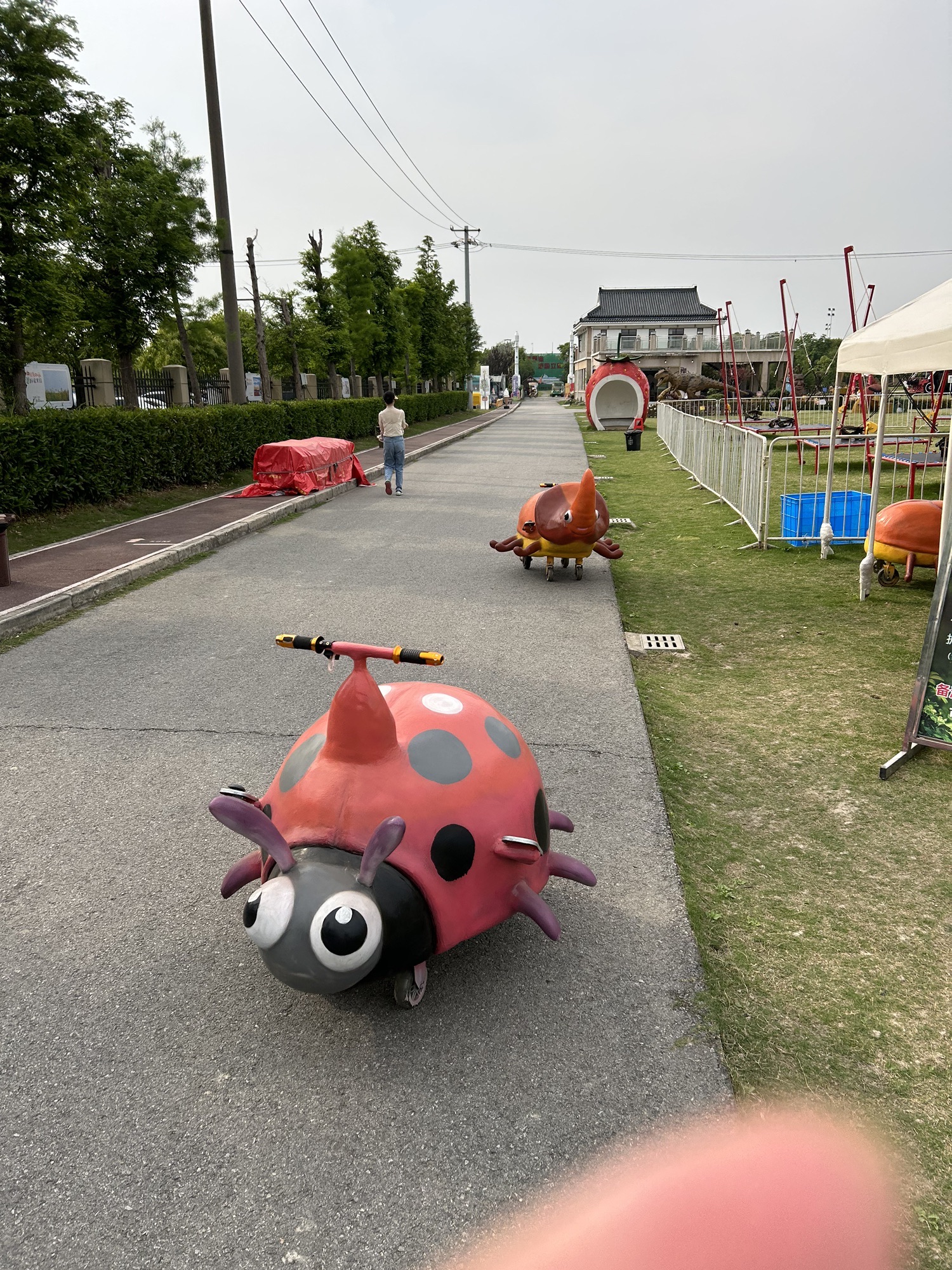 菊园百果园旅行图片 3
