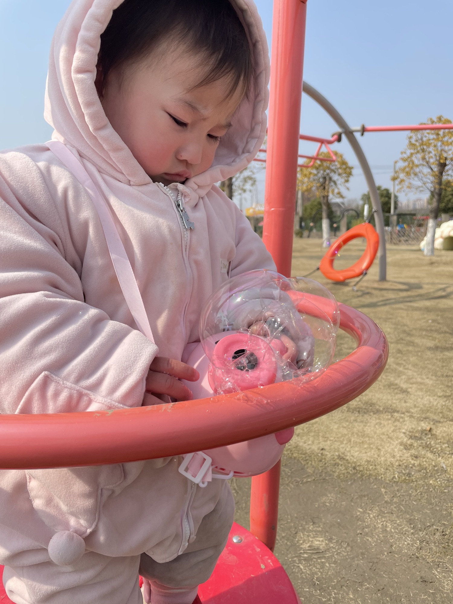 菊园百果园旅行图片 1
