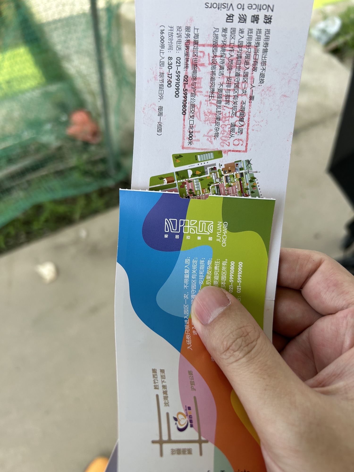 菊园百果园旅行图片 1
