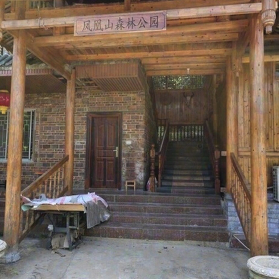 来宾市凤凰山森林公园旅行图片 2