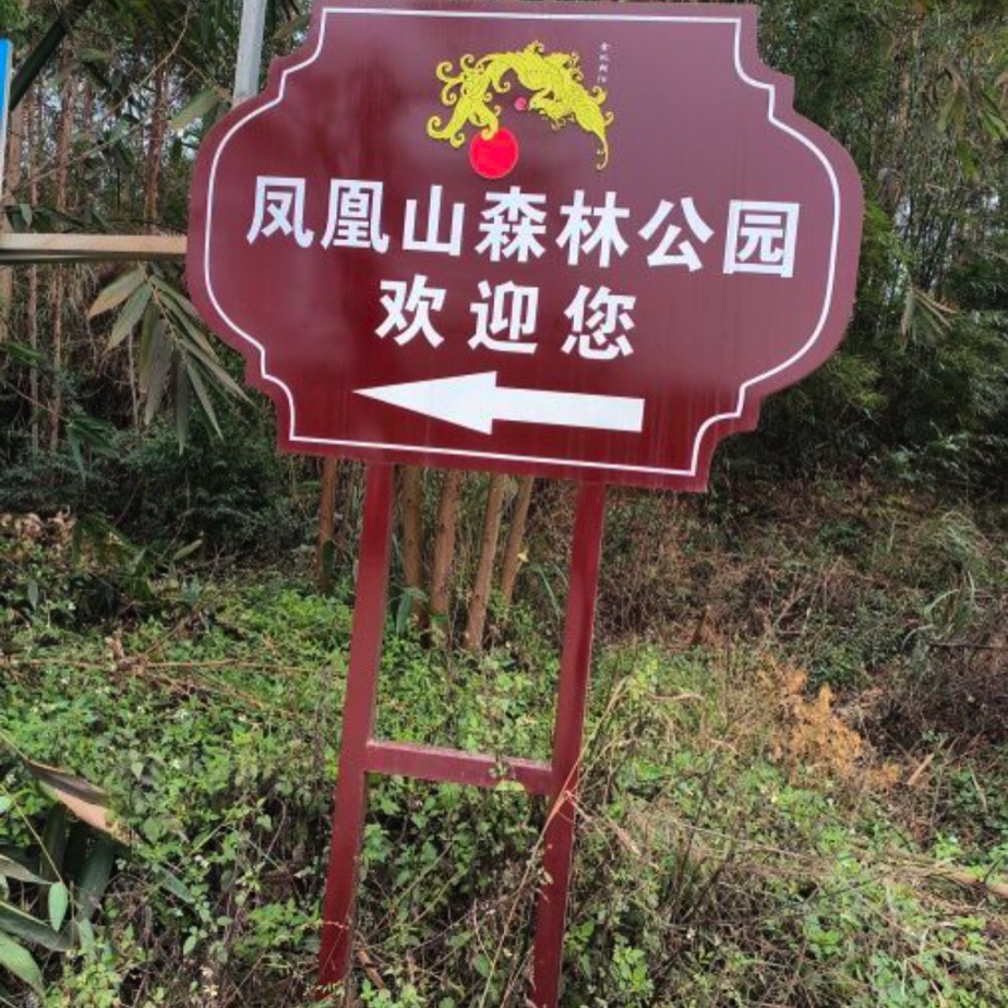 来宾市凤凰山森林公园旅行图片 3