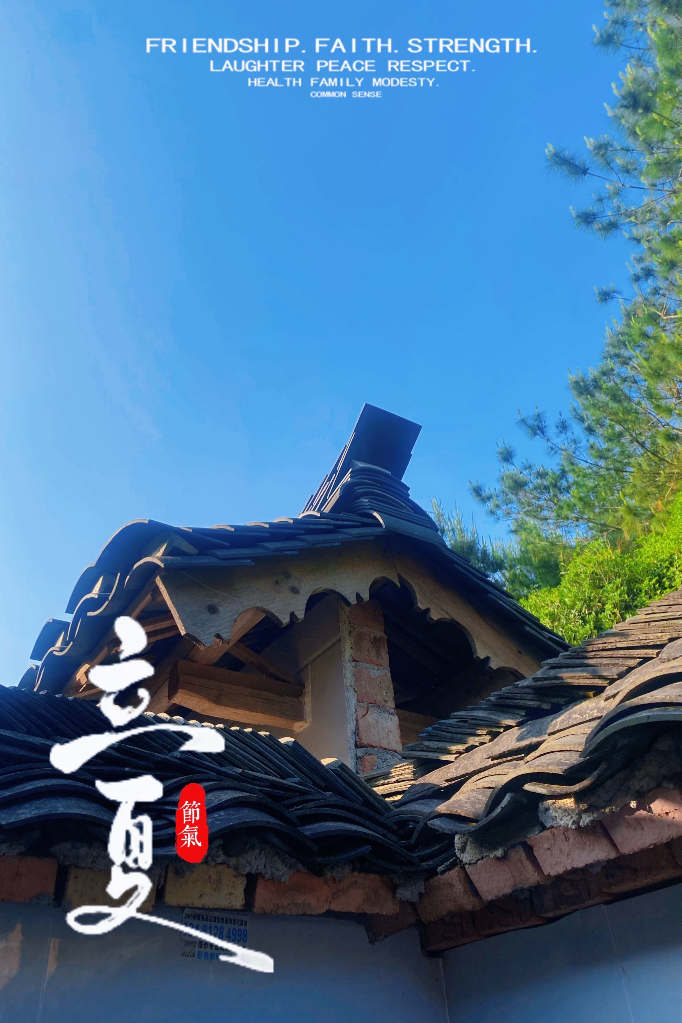 来宾市凤凰山森林公园旅行图片 3