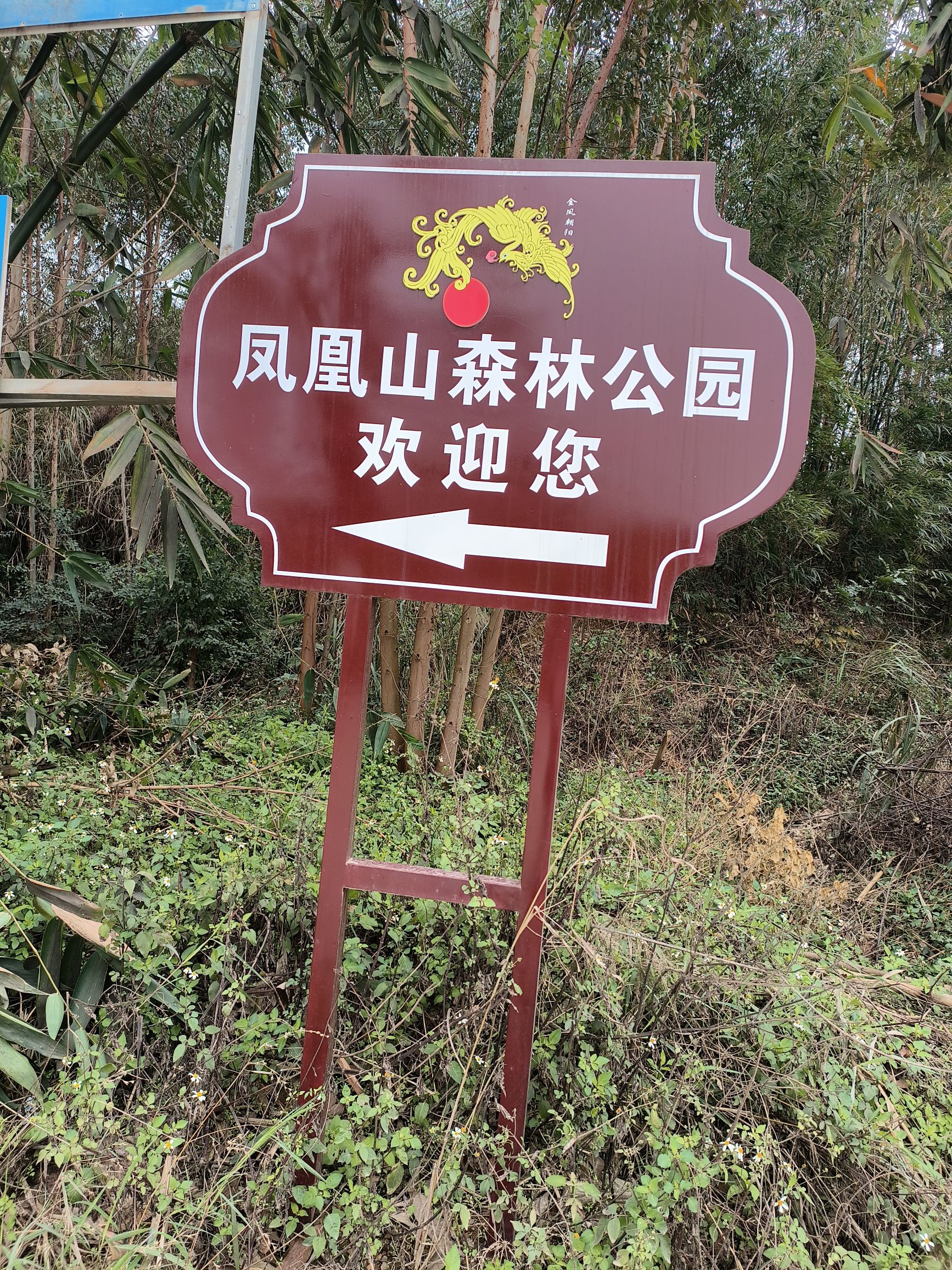 来宾市凤凰山森林公园旅行图片 2