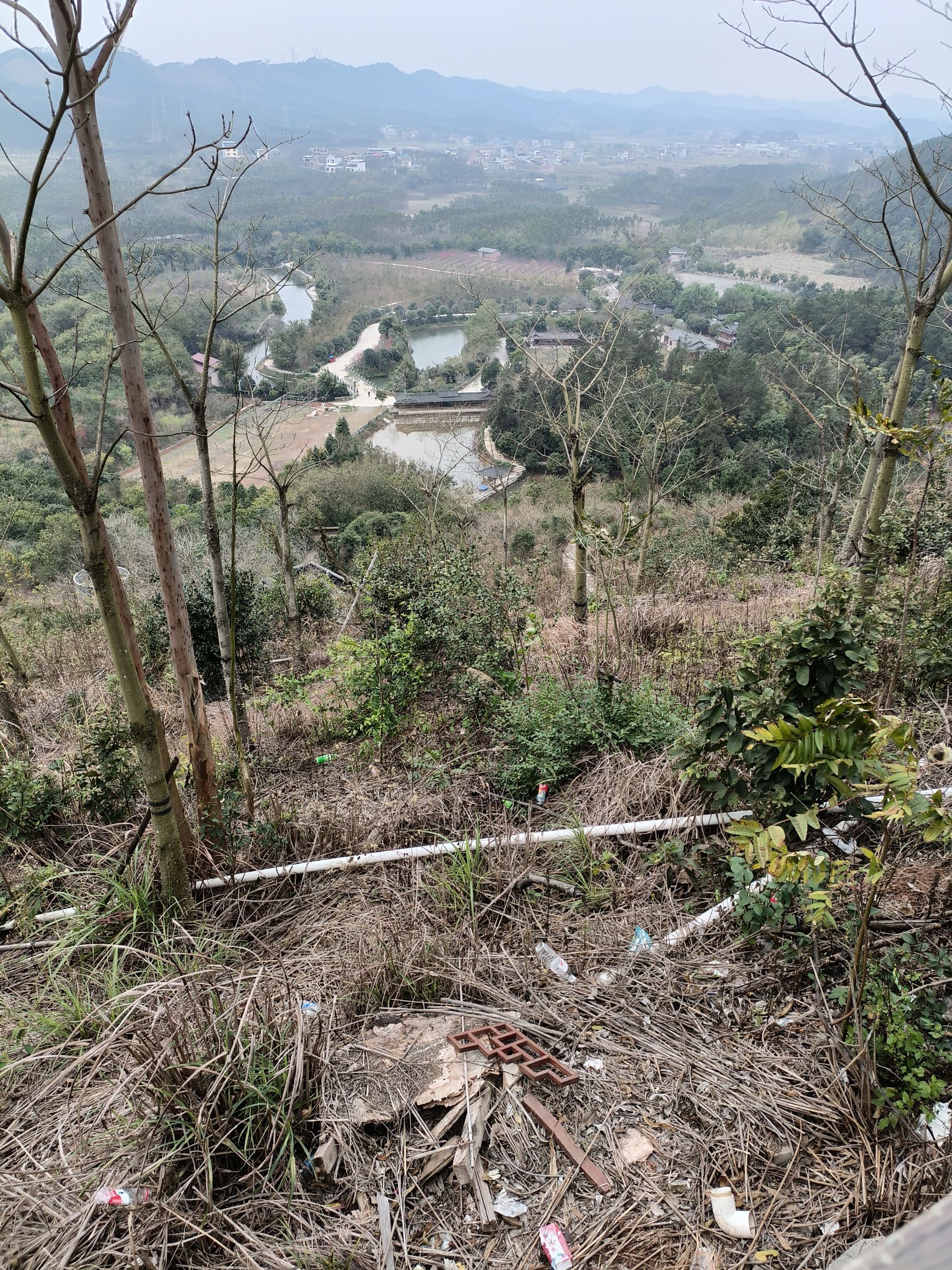 来宾市凤凰山森林公园旅行图片 1