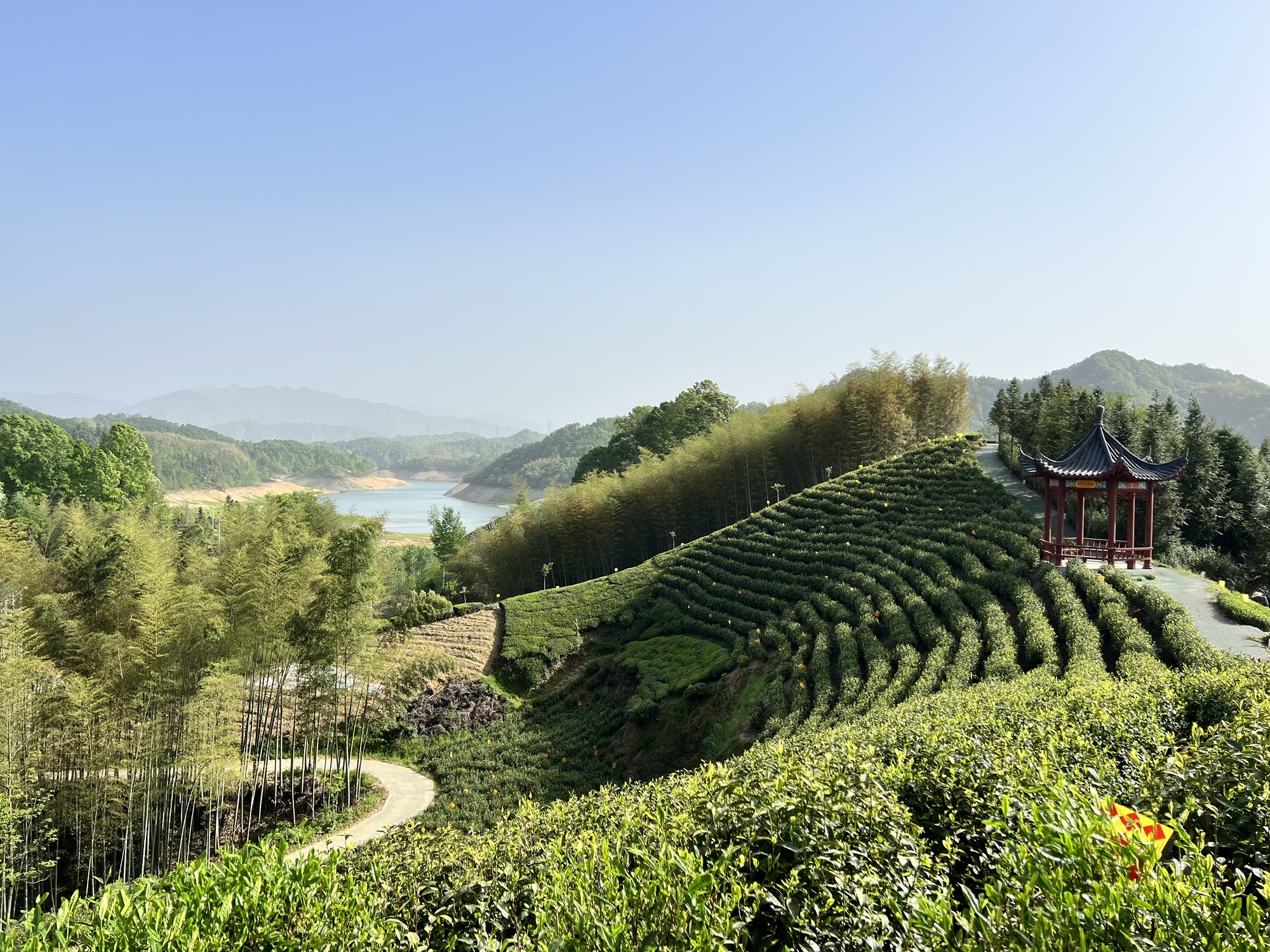 六安西茶谷主题公园旅行图片 3
