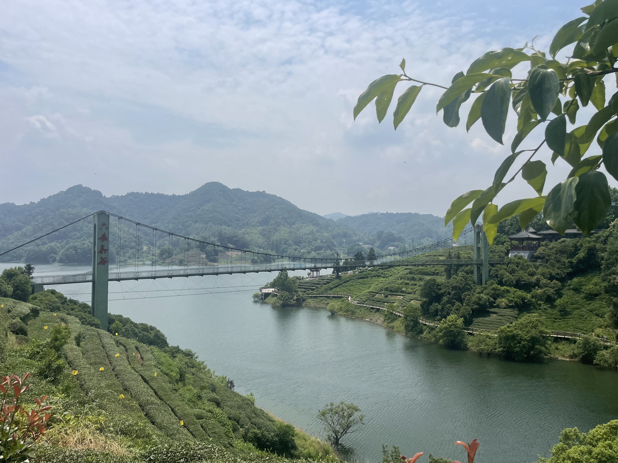 六安西茶谷主题公园旅行图片 2