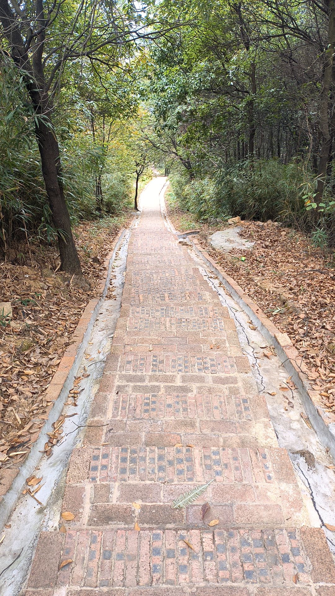 六祖避难石旅行图片 3