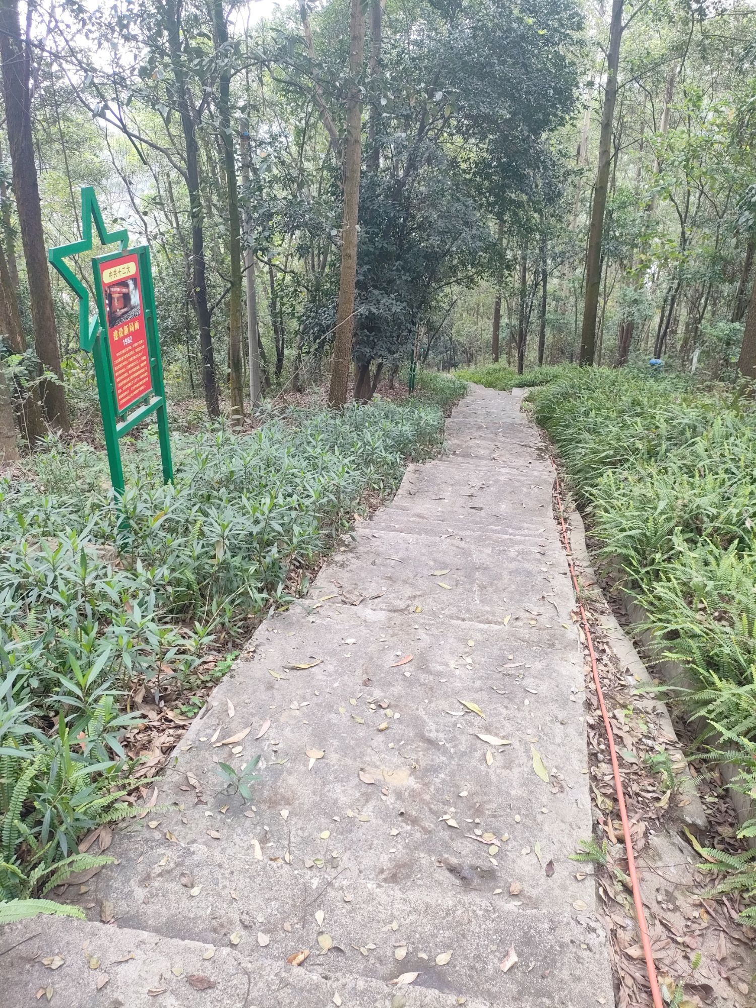 崖鹰山公园旅行图片 1
