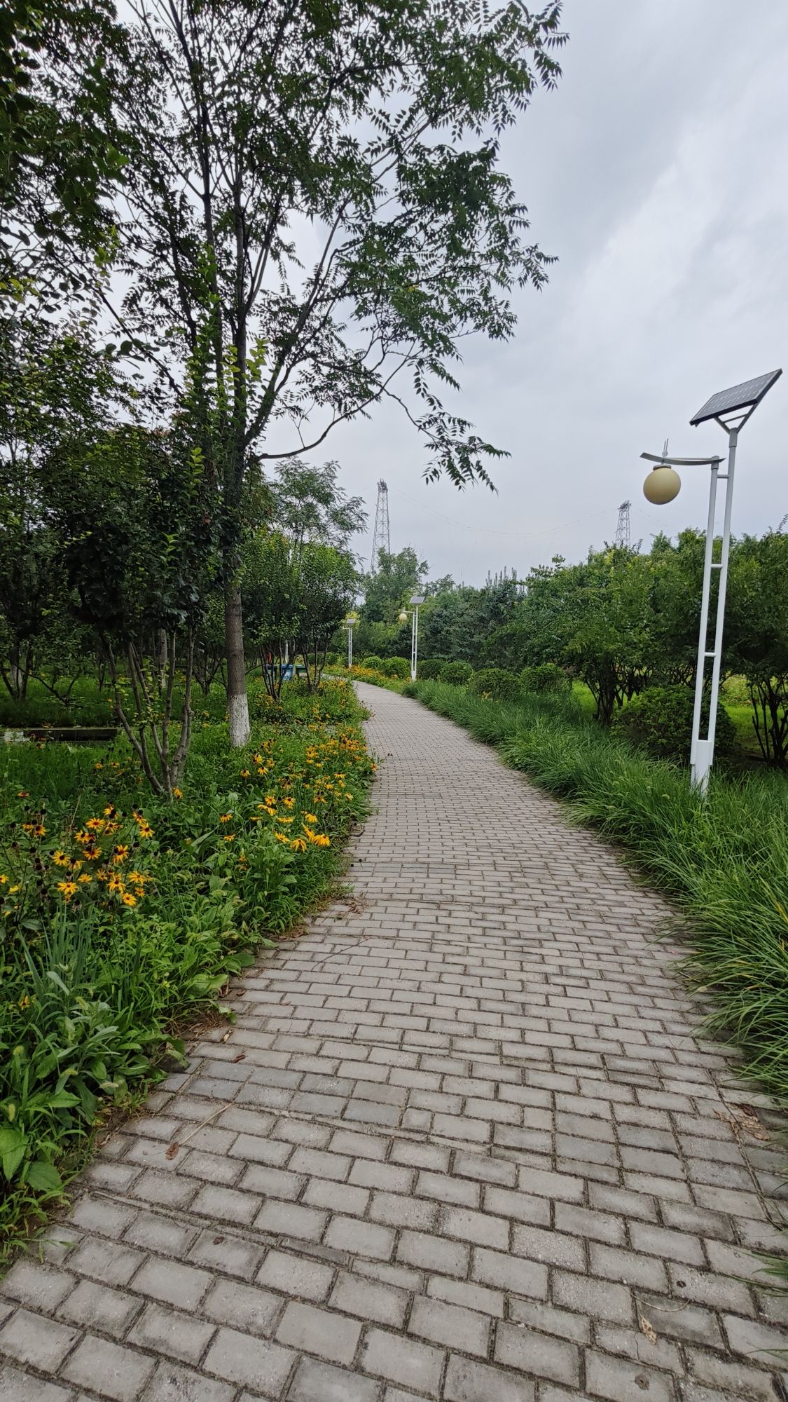 金田公园旅行图片 2