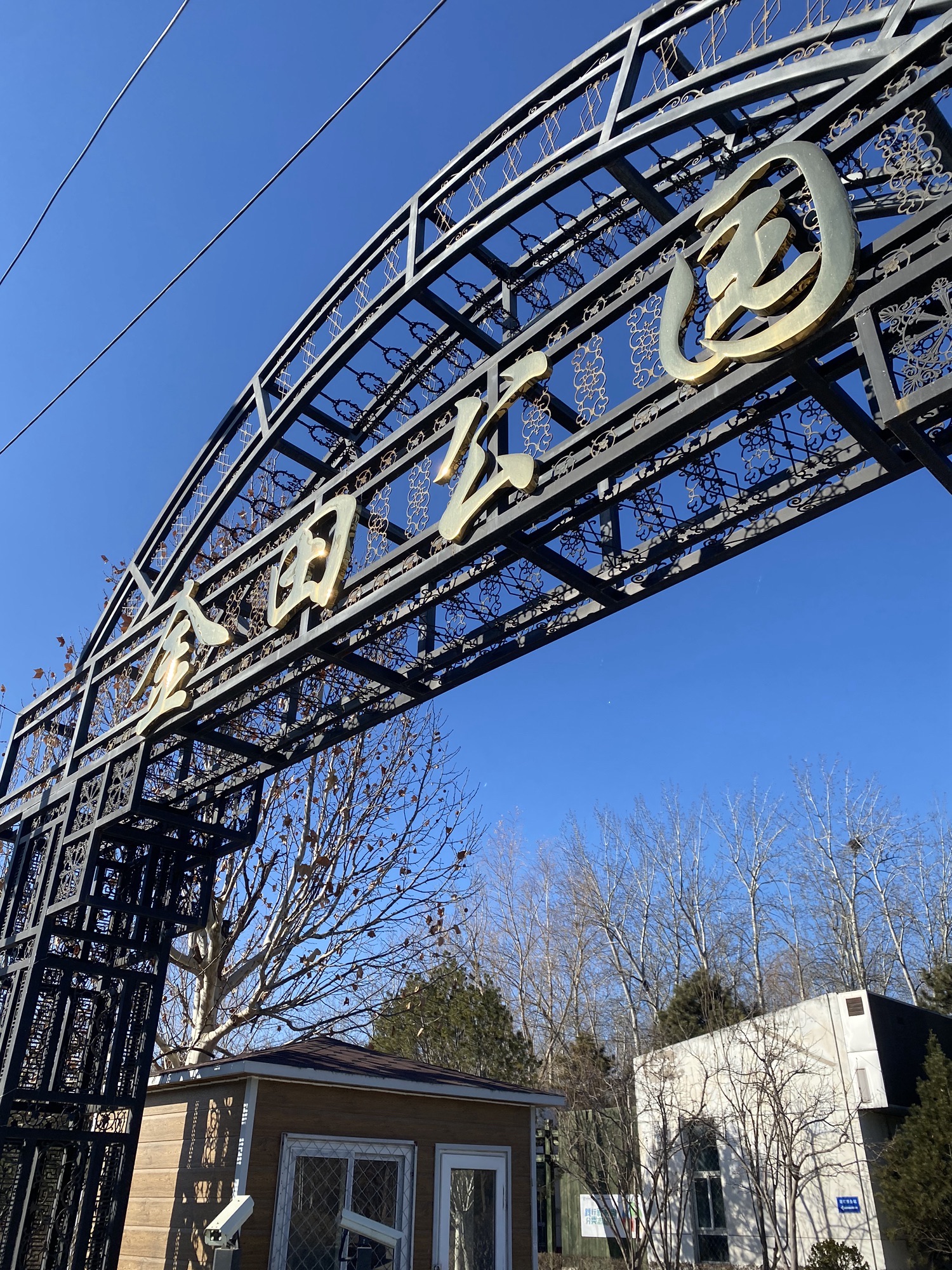 金田公园旅行图片 2