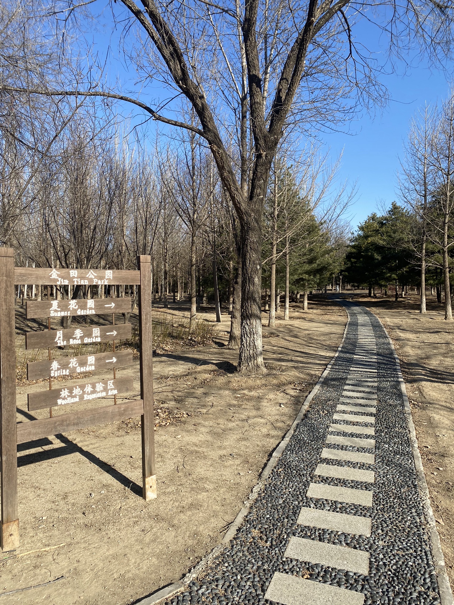 金田公园旅行图片 3