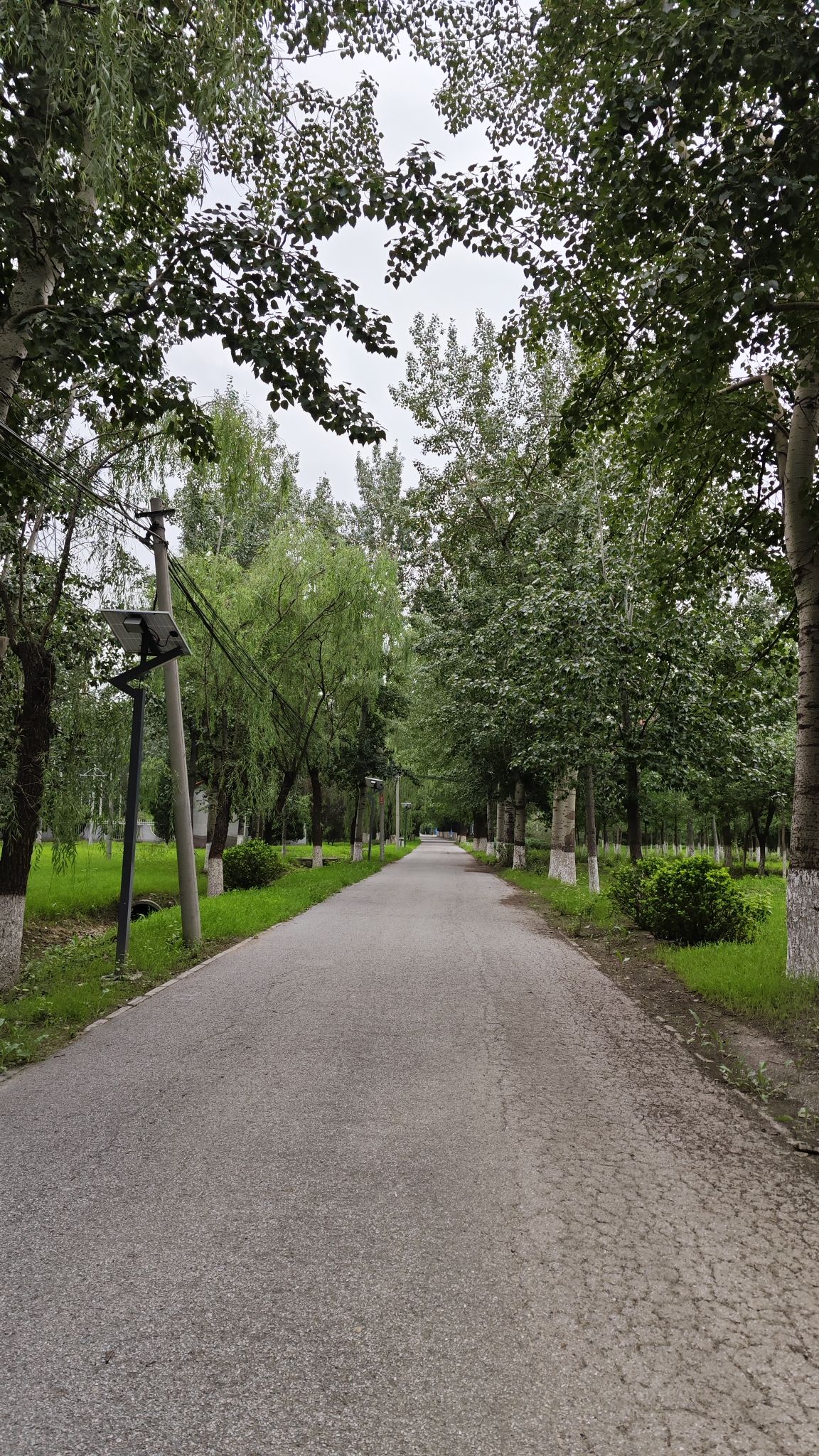 金田公园旅行图片 1