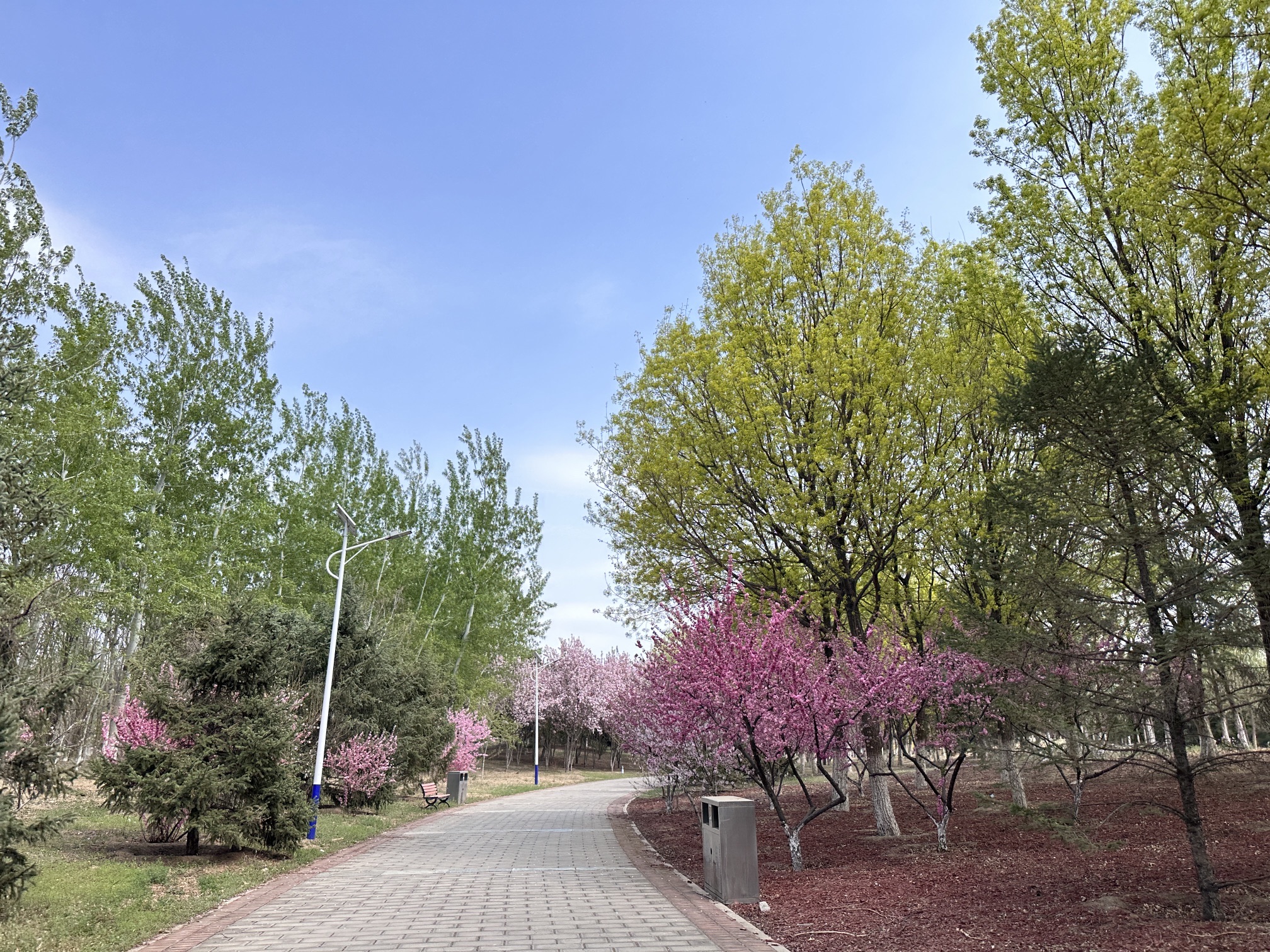 金田公园