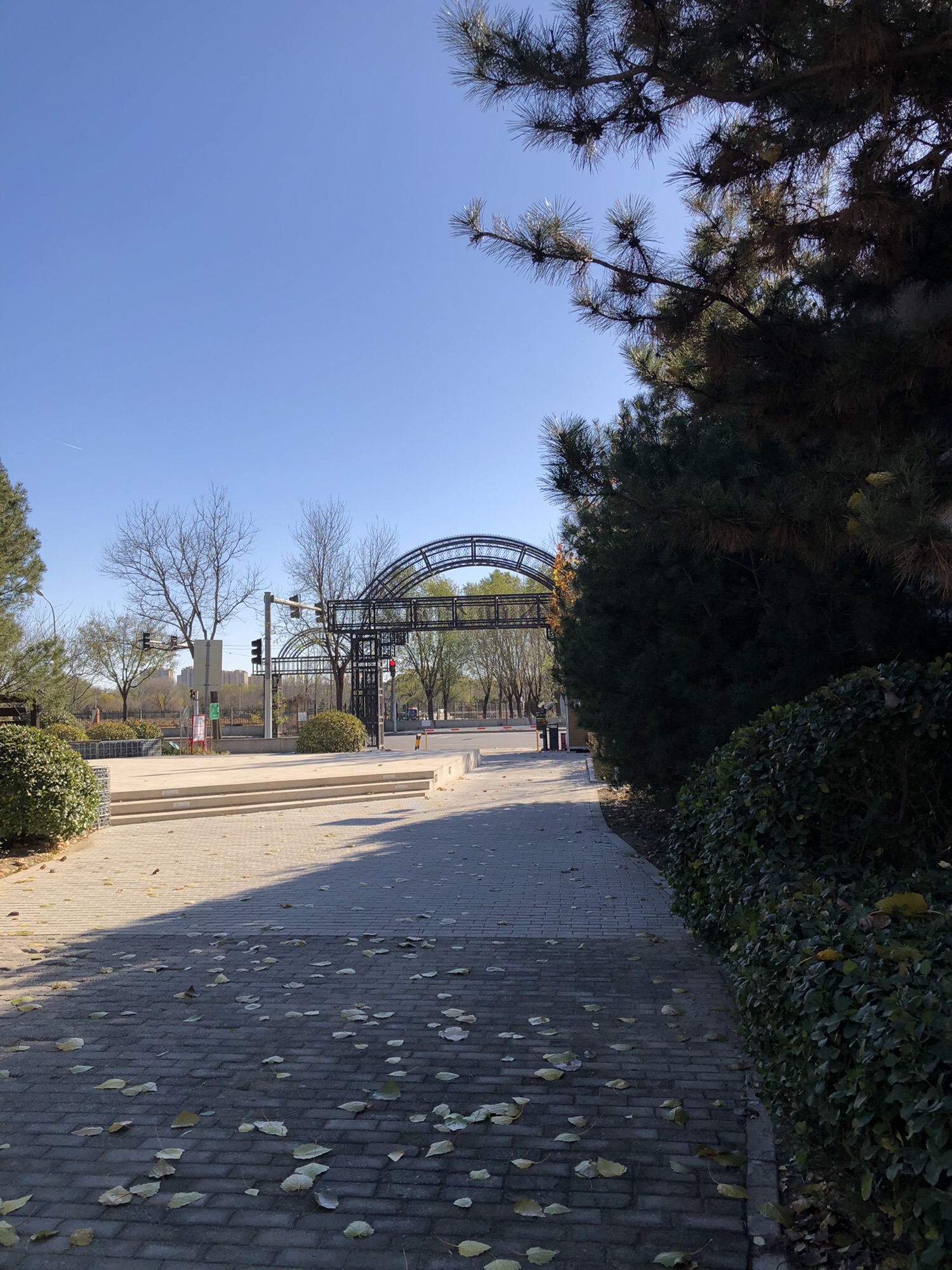 金田公园旅行图片 1
