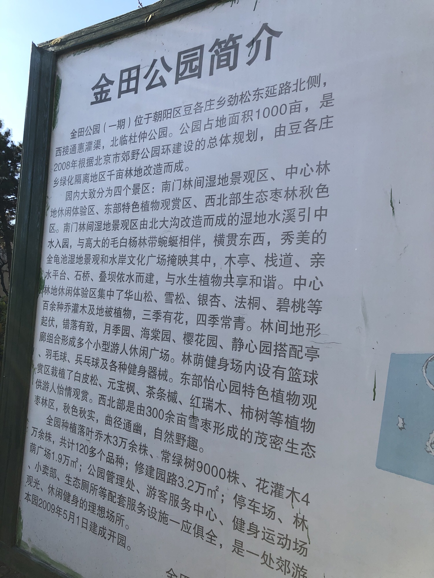金田公园旅行图片 3