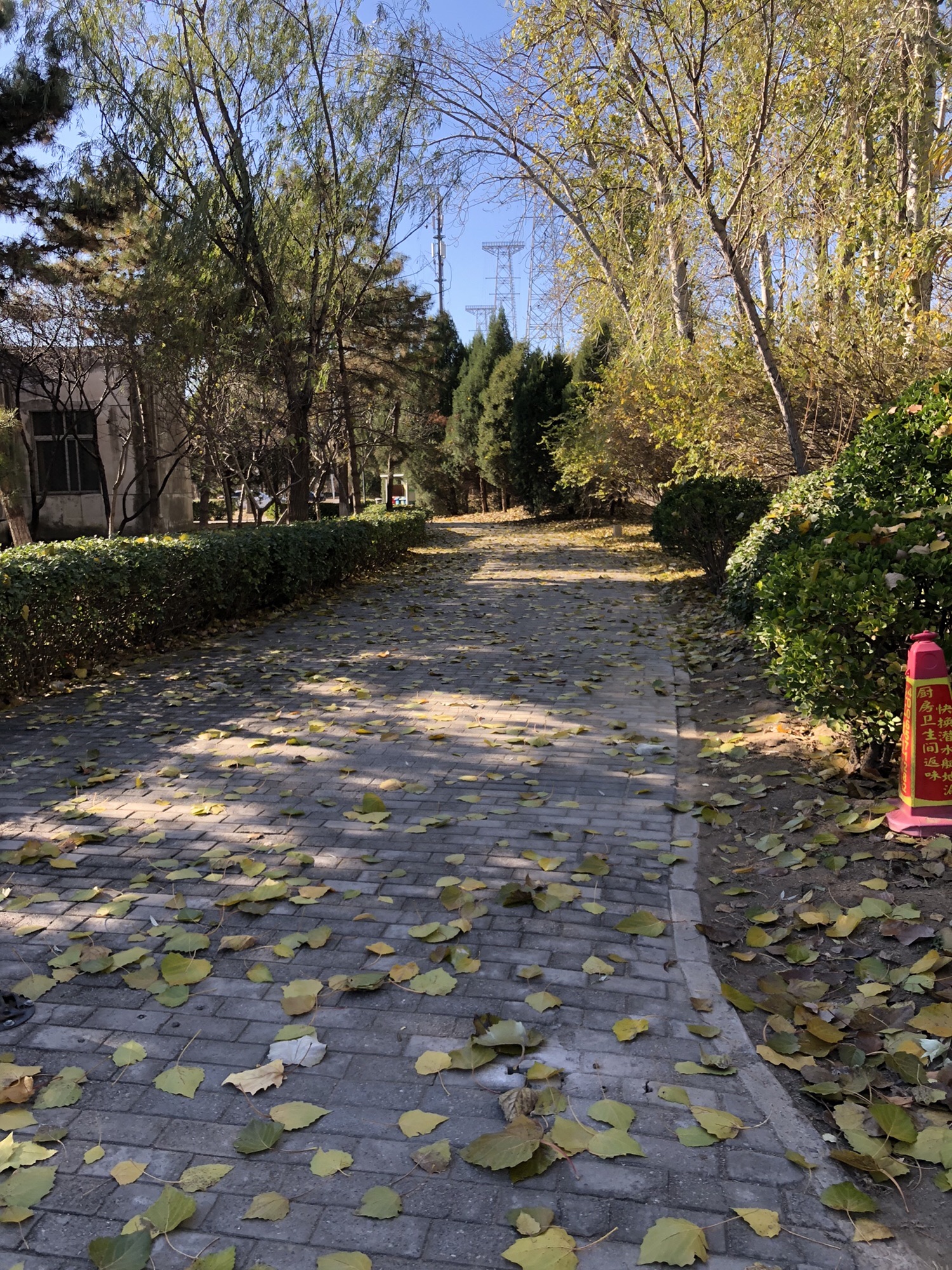 金田公园旅行图片 2