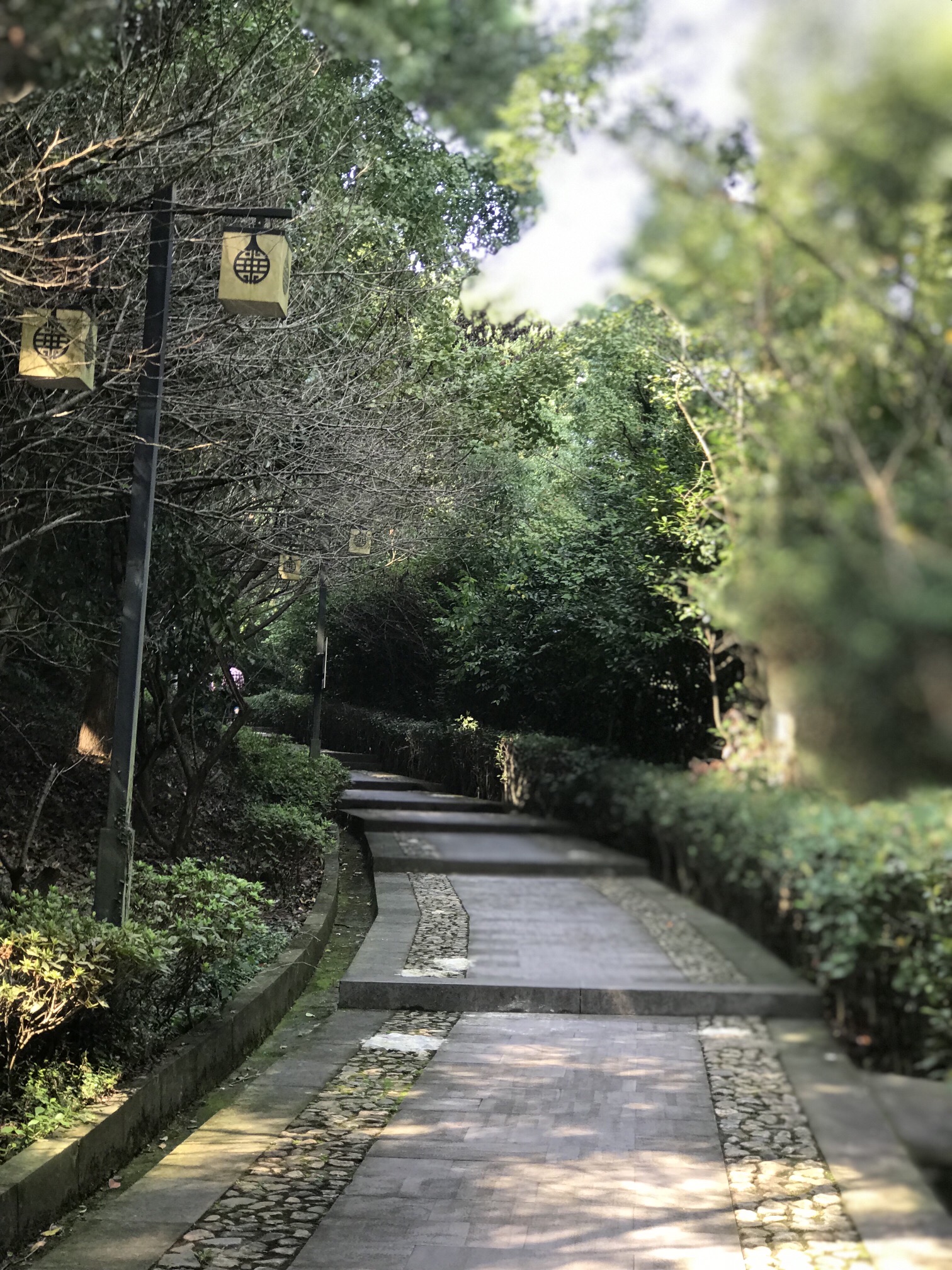 鄞江古镇旅行图片 1