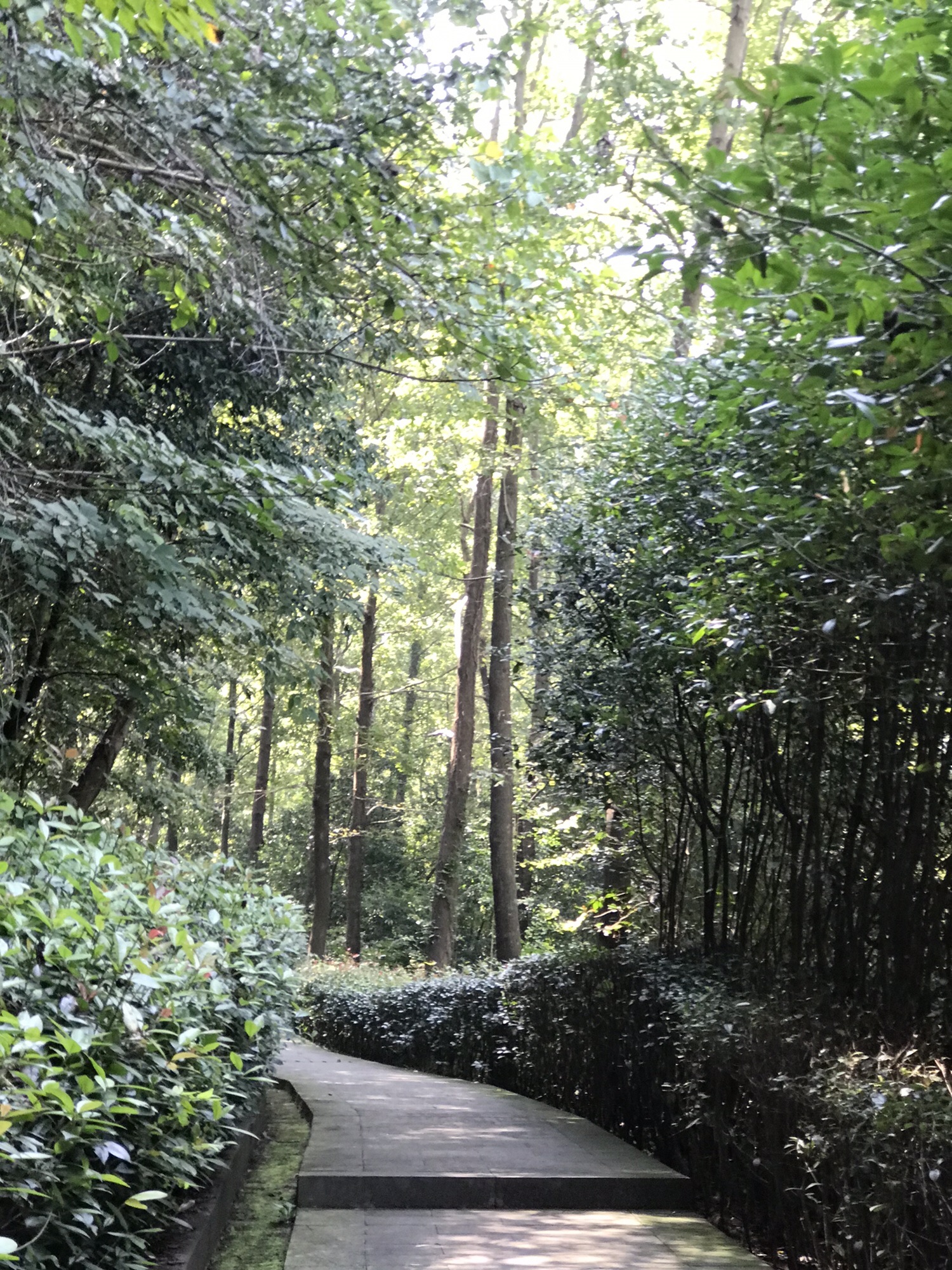 鄞江古镇旅行图片 2
