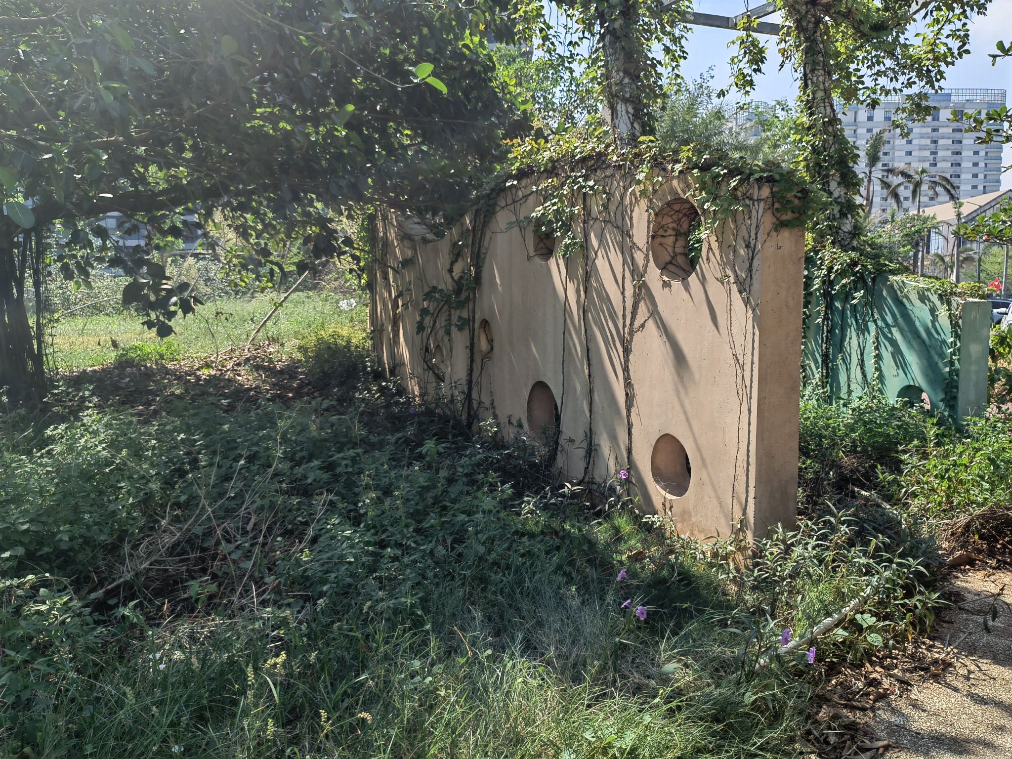七色岛公园旅行图片 2
