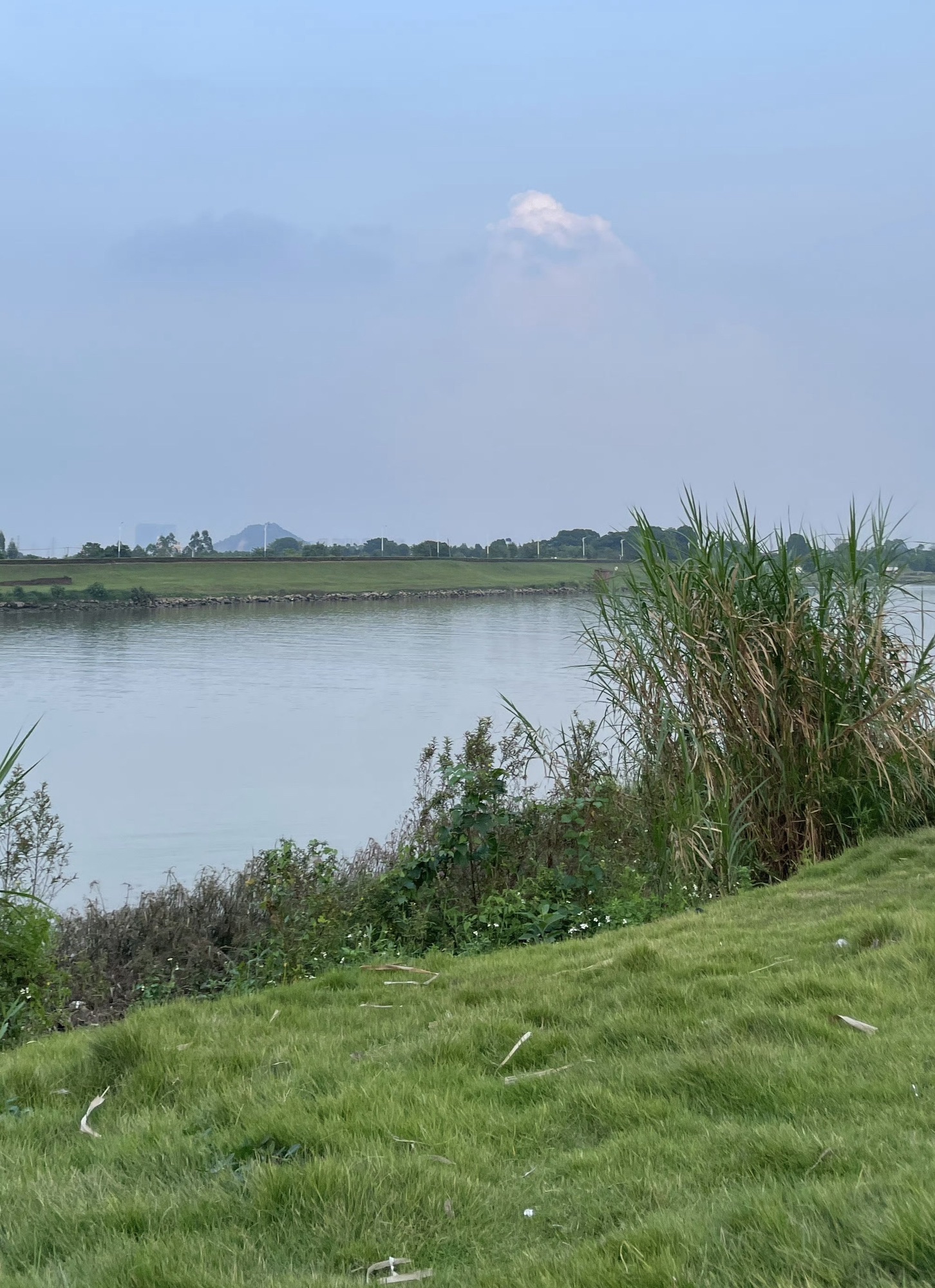 半月岛湿地公园旅行图片 1