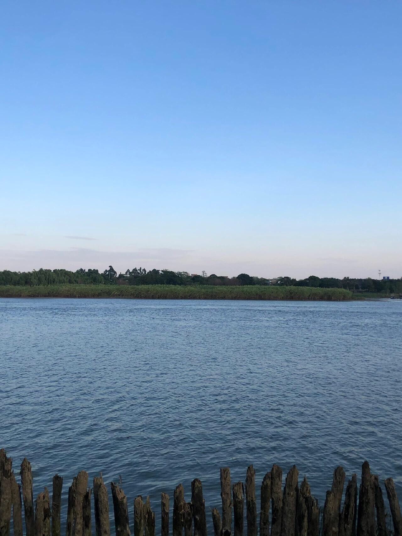 半月岛湿地公园旅行图片 3