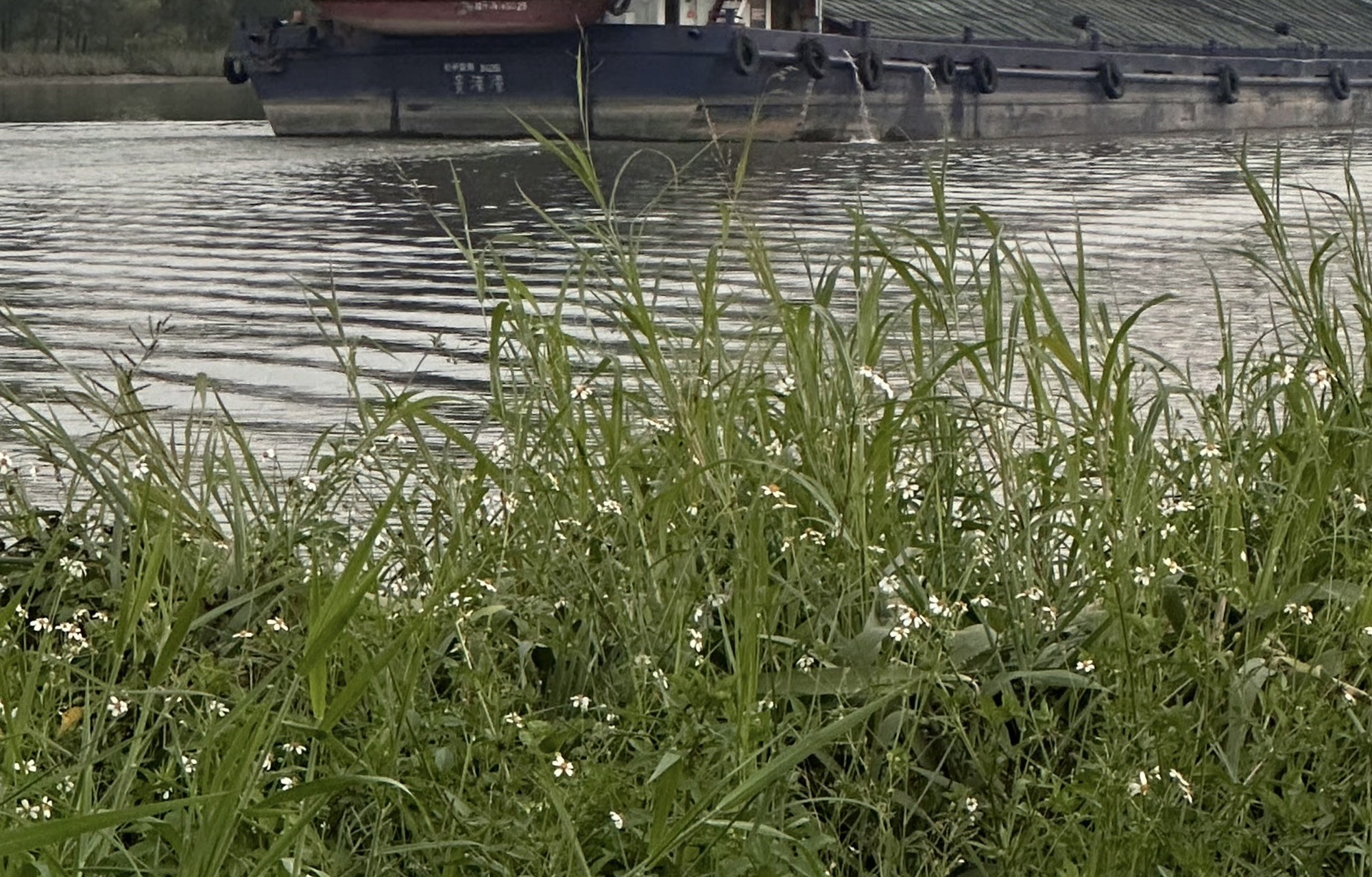 半月岛湿地公园旅行图片 2
