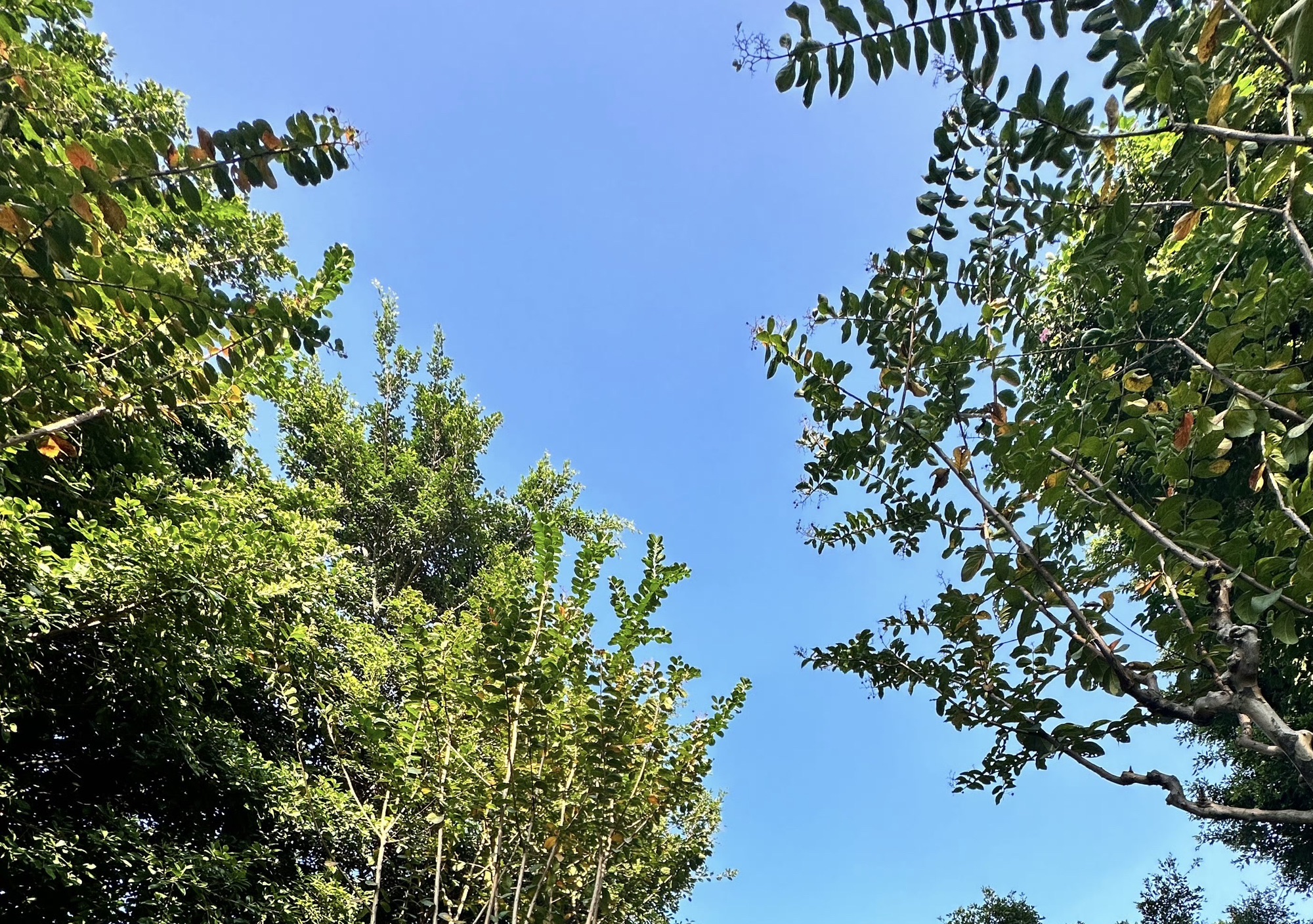 半月岛湿地公园旅行图片 1