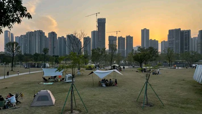 半月岛湿地公园旅行图片 2