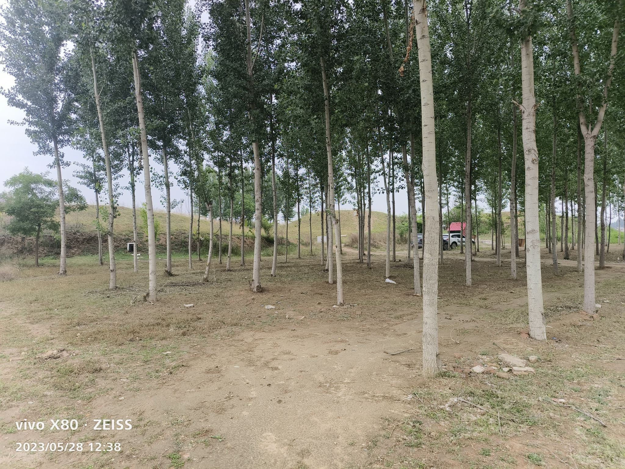 影三郎古墓旅行图片 3