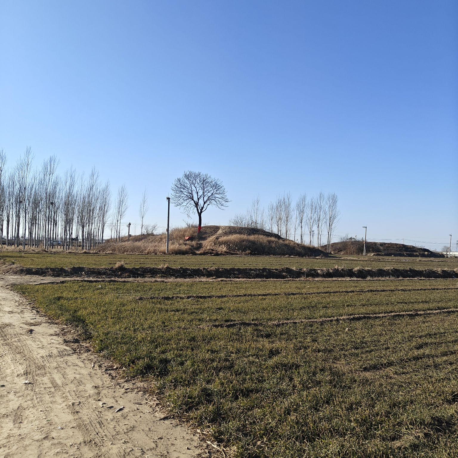 影三郎古墓旅行图片 1