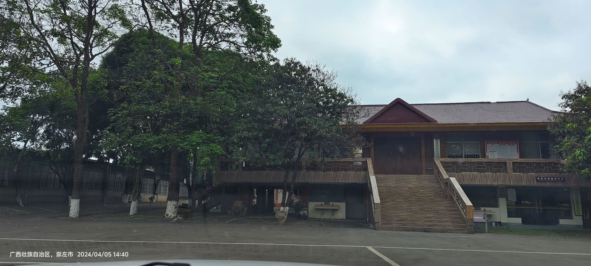 龙州珍稀植物园旅行图片 1