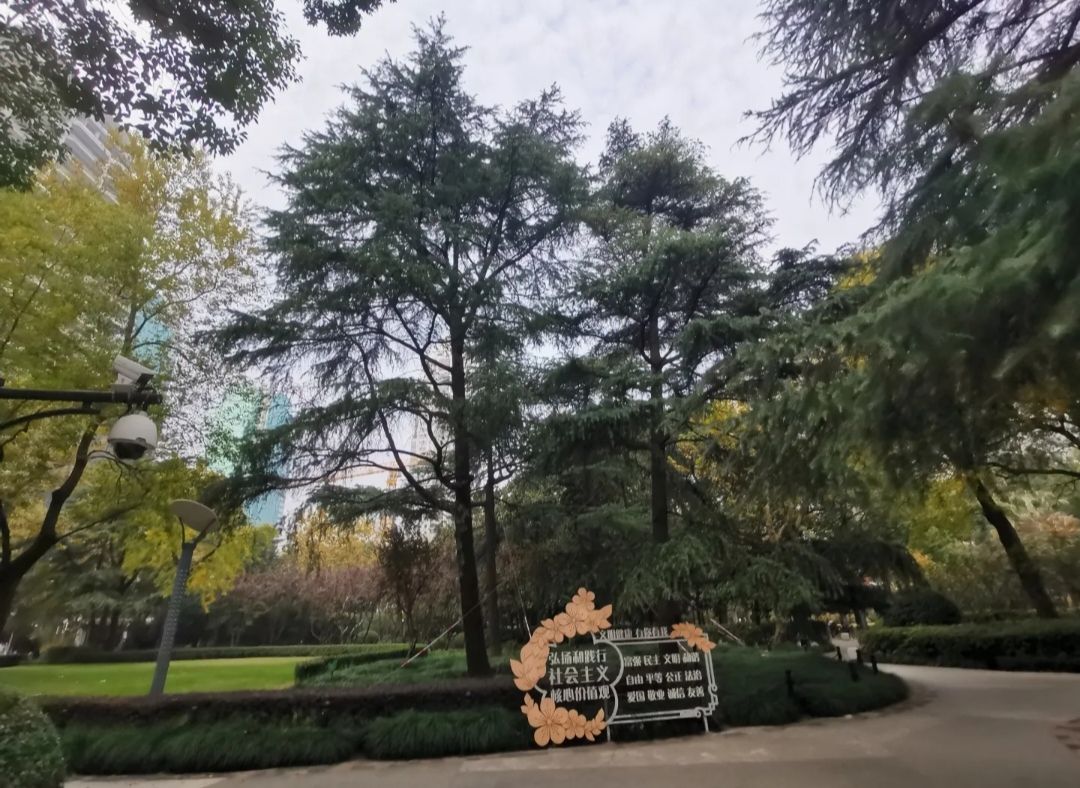 淮海公园旅行图片 2