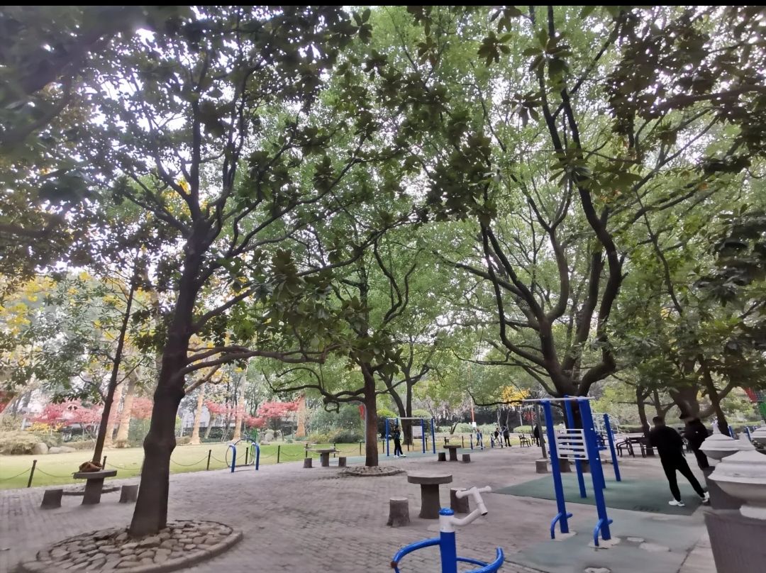 淮海公园旅行图片 3