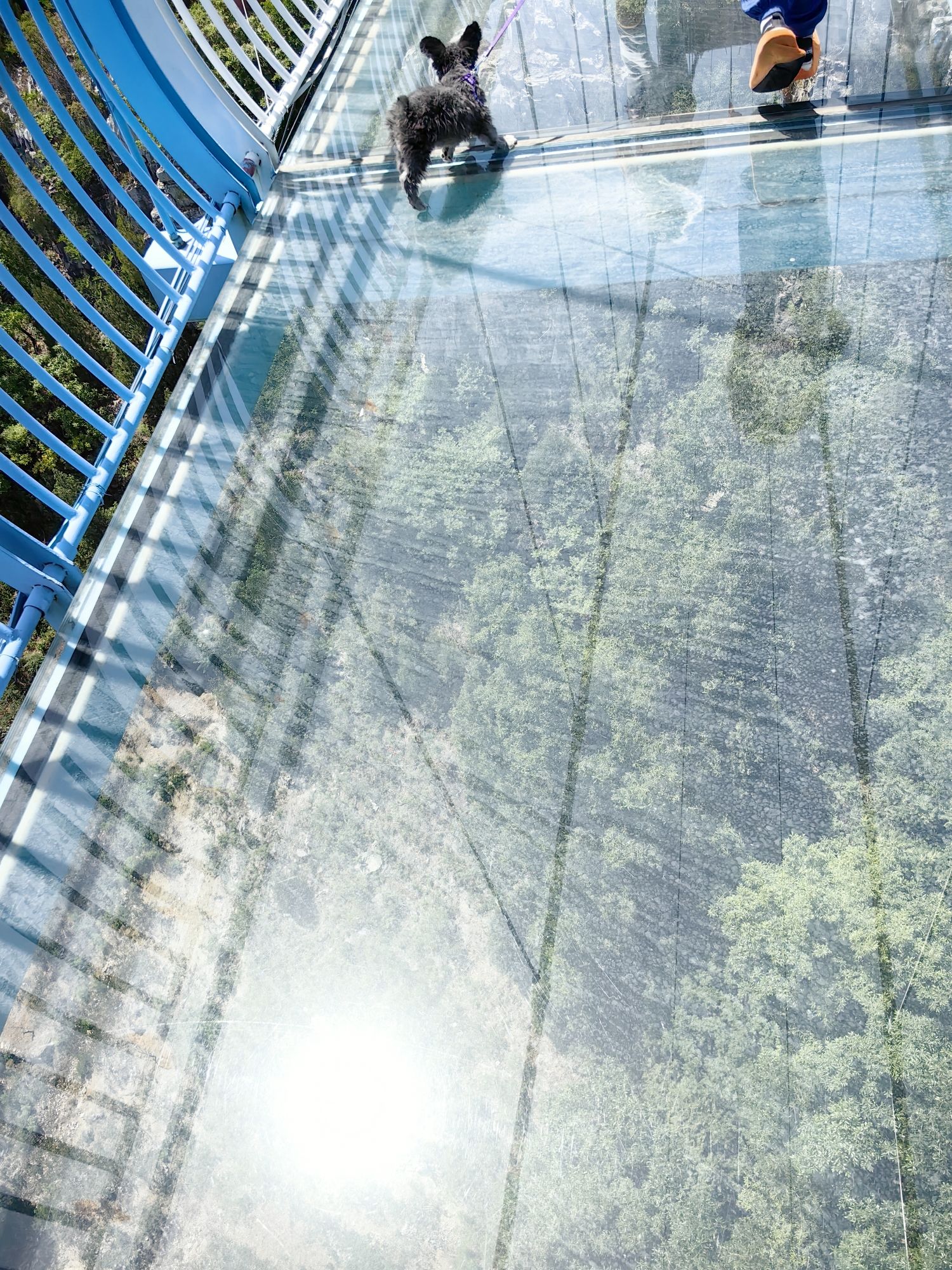 九顶梅花山风景区旅行图片 2